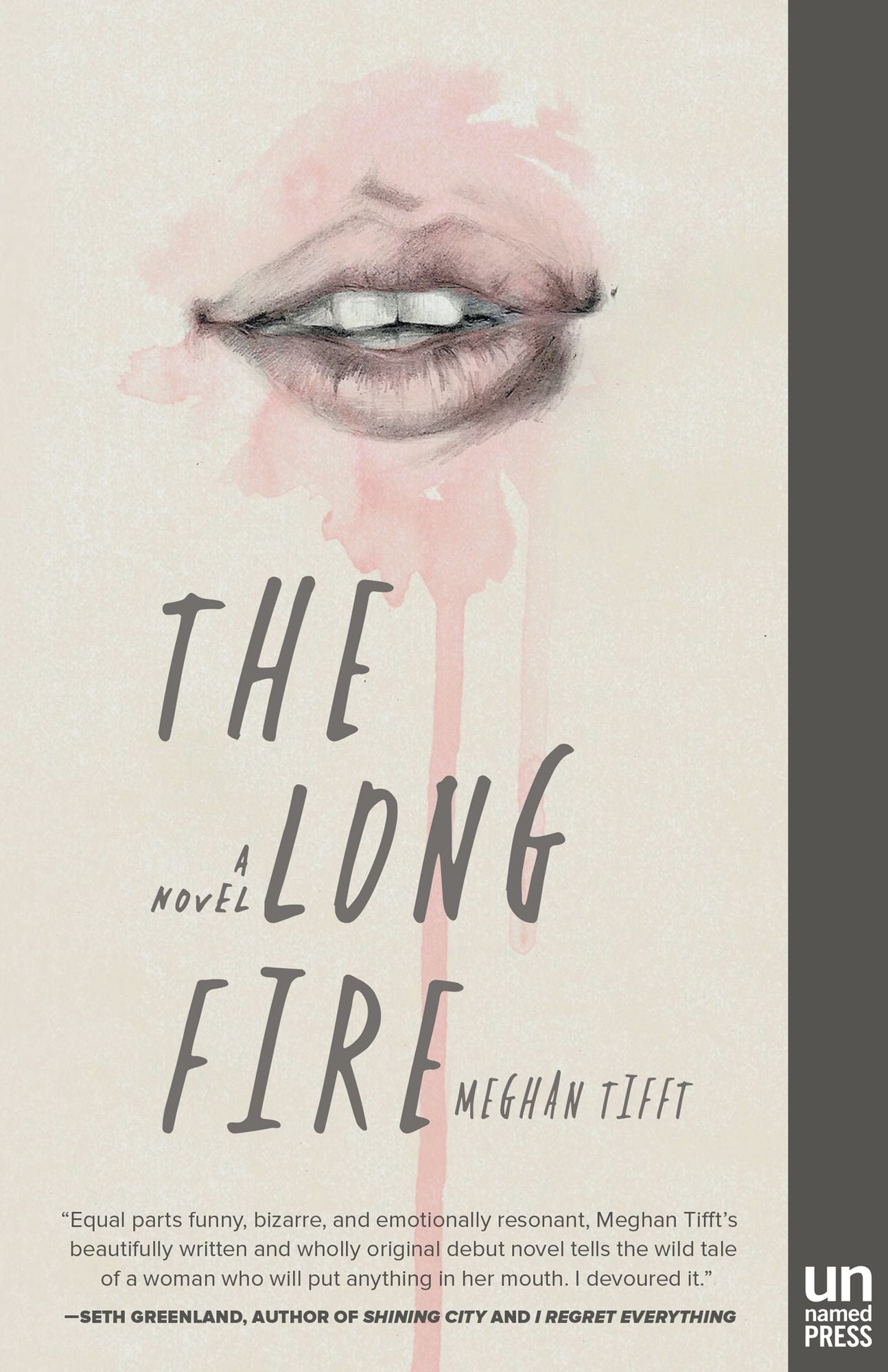 The Long Fire: A Novel