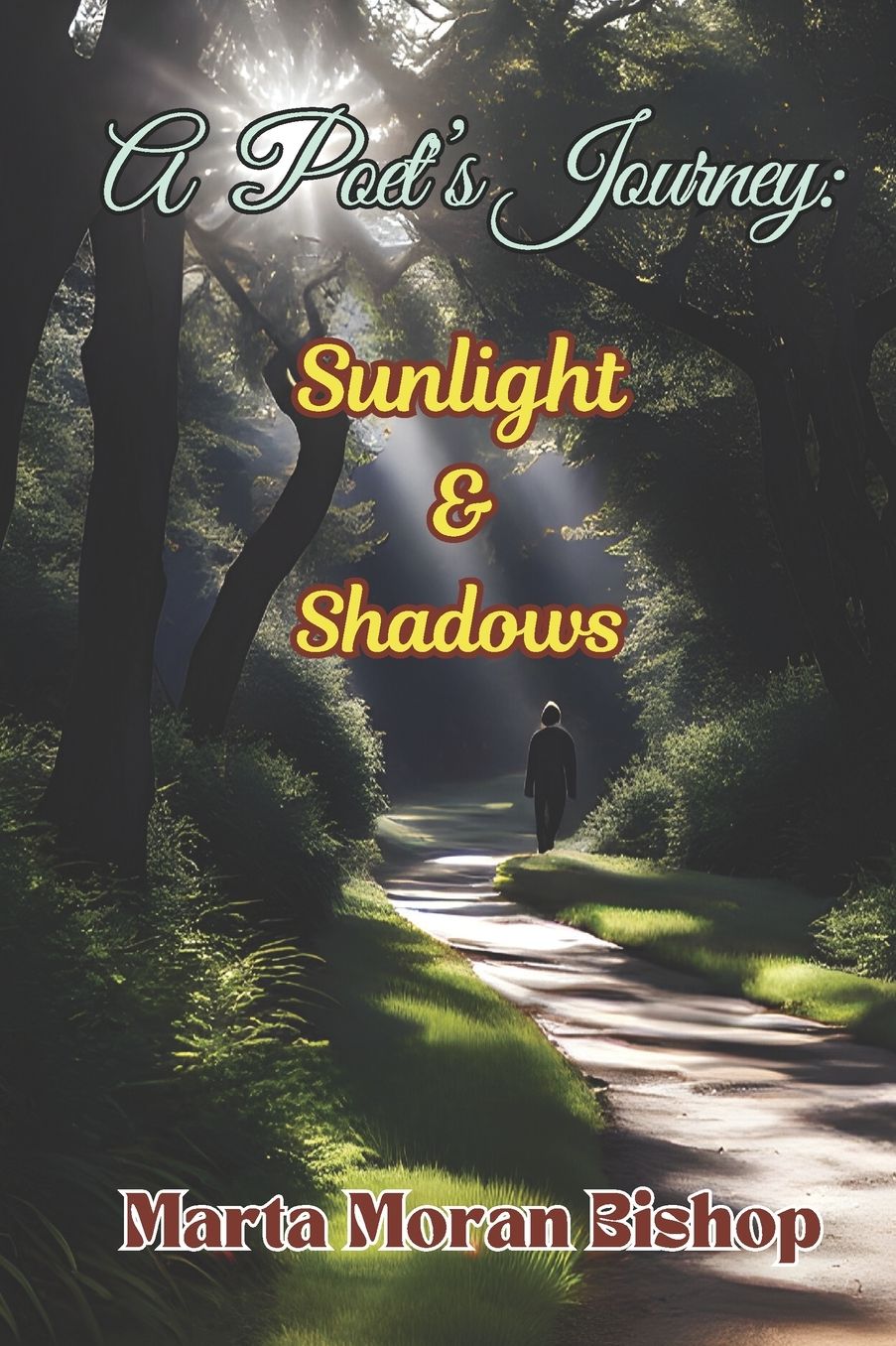 A Poet's Journey: Sunlight And Shadows