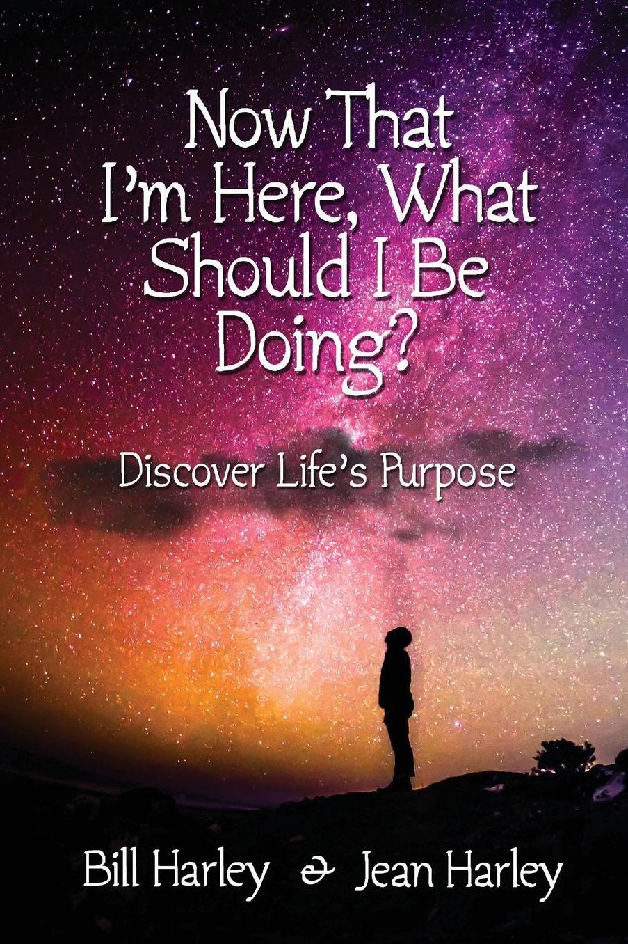 Now That I'm Here, What Should I Be Doing?: Discover Life's Purpose