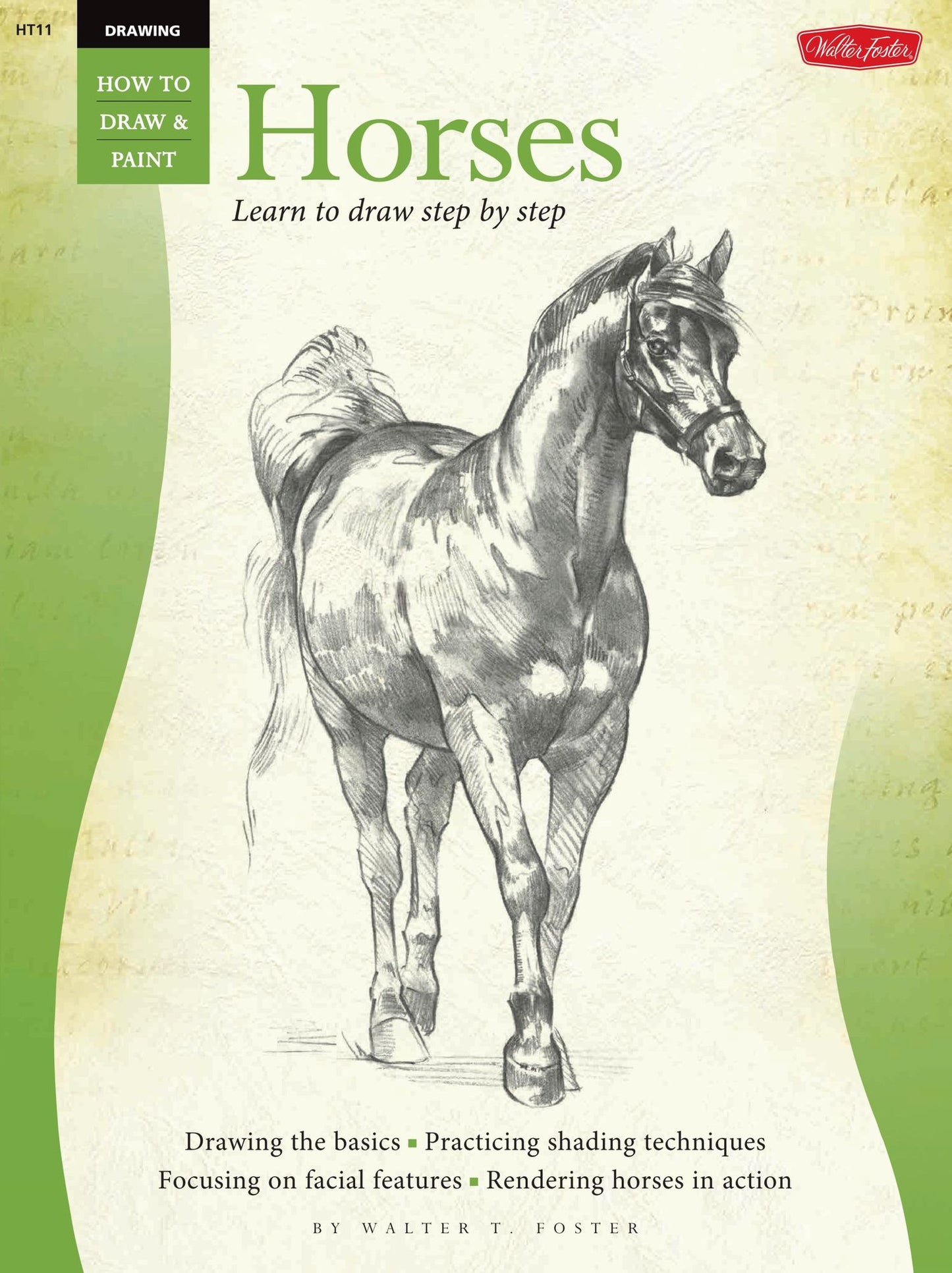 Drawing Horses Learn to Draw Step by Step