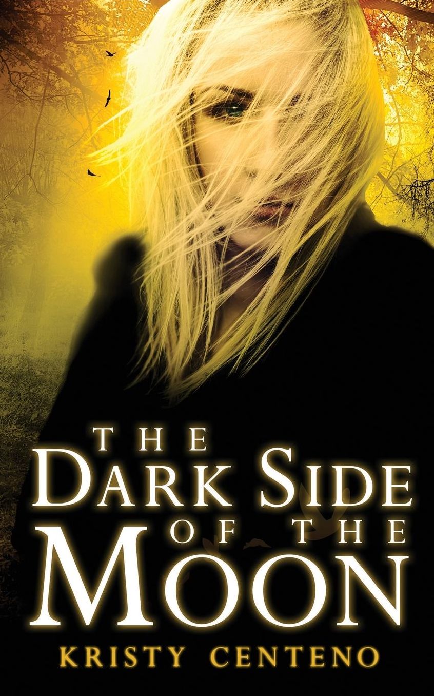 Dark Side of the Moon: A Secrets of the Moon Novel