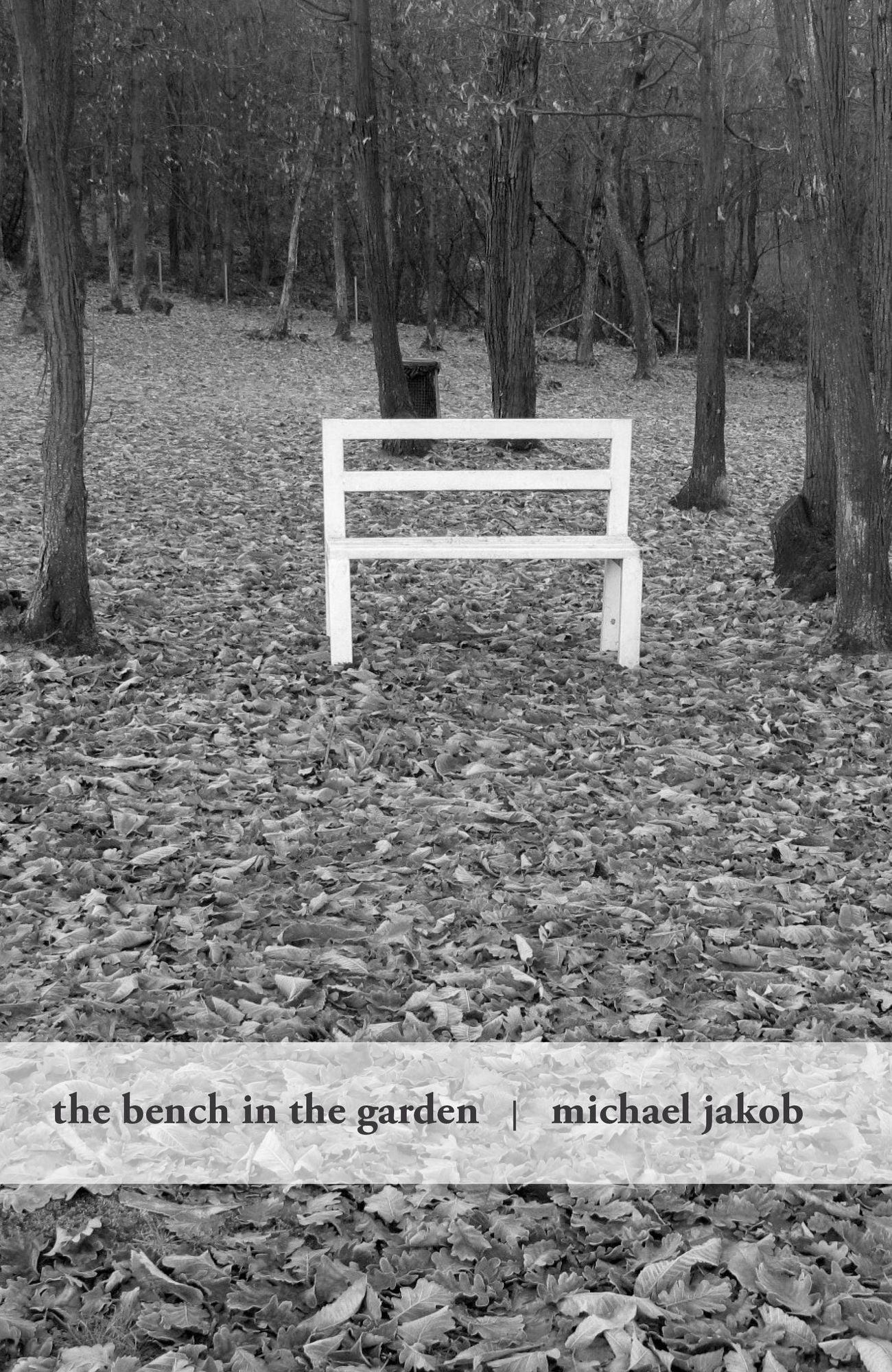 The Bench in the Garden: An Inquiry Into the Scopic History of a Bench