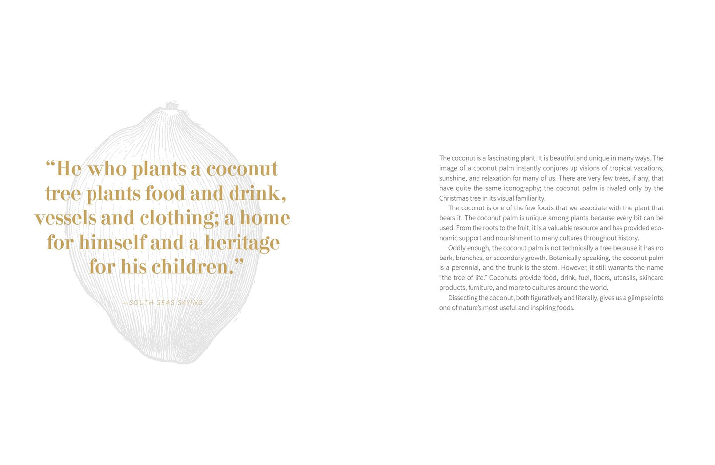 Coconut Kitchen: Cooking with Nature's Most Beautifying Superfood