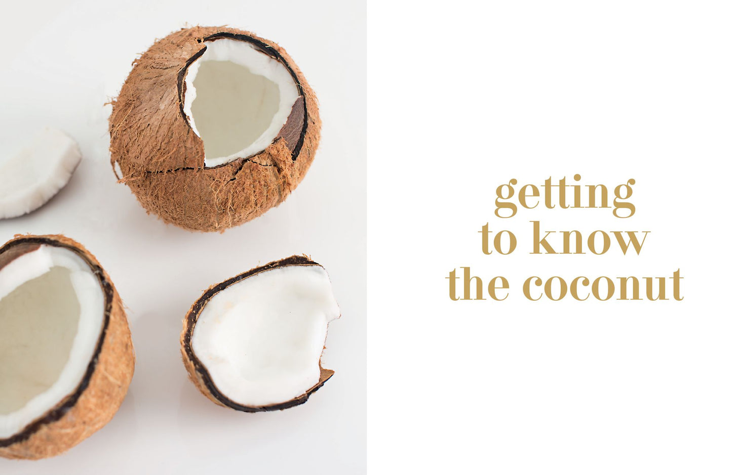 Coconut Kitchen: Cooking with Nature's Most Beautifying Superfood