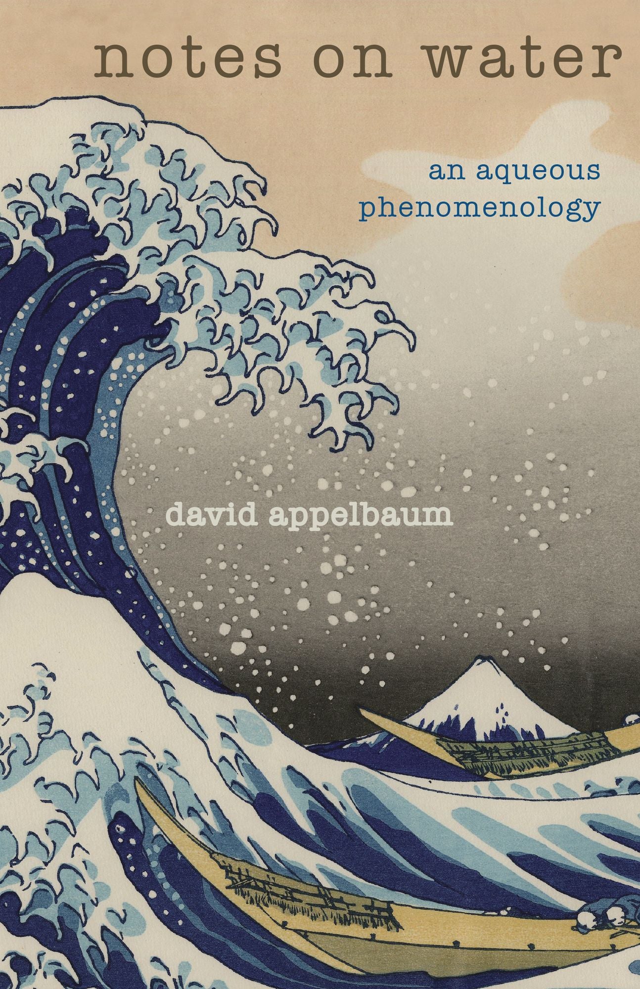 Notes on Water: An Aqueous Phenomenology