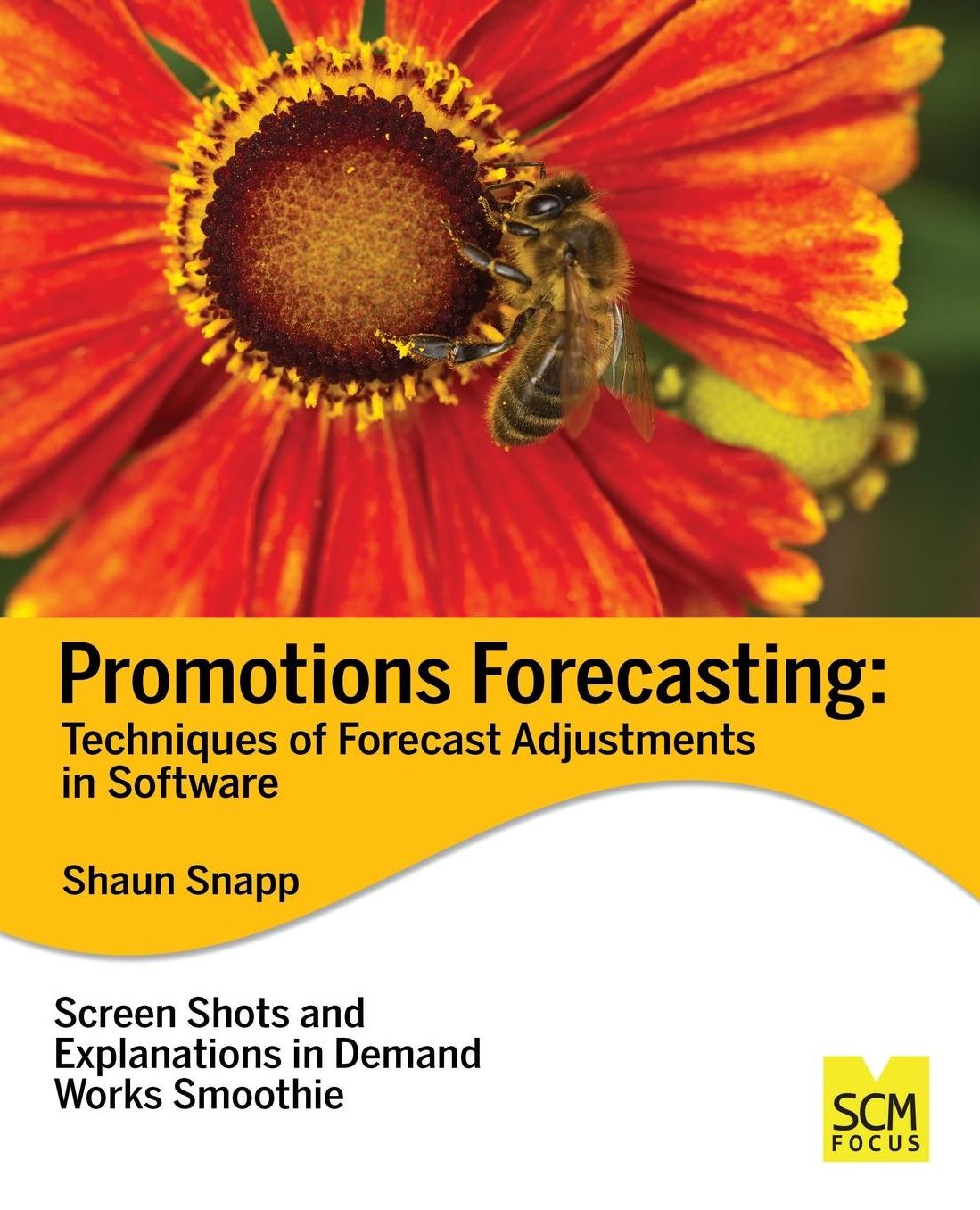 Promotions Forecasting: Forecast Adjustment Techniques in Software