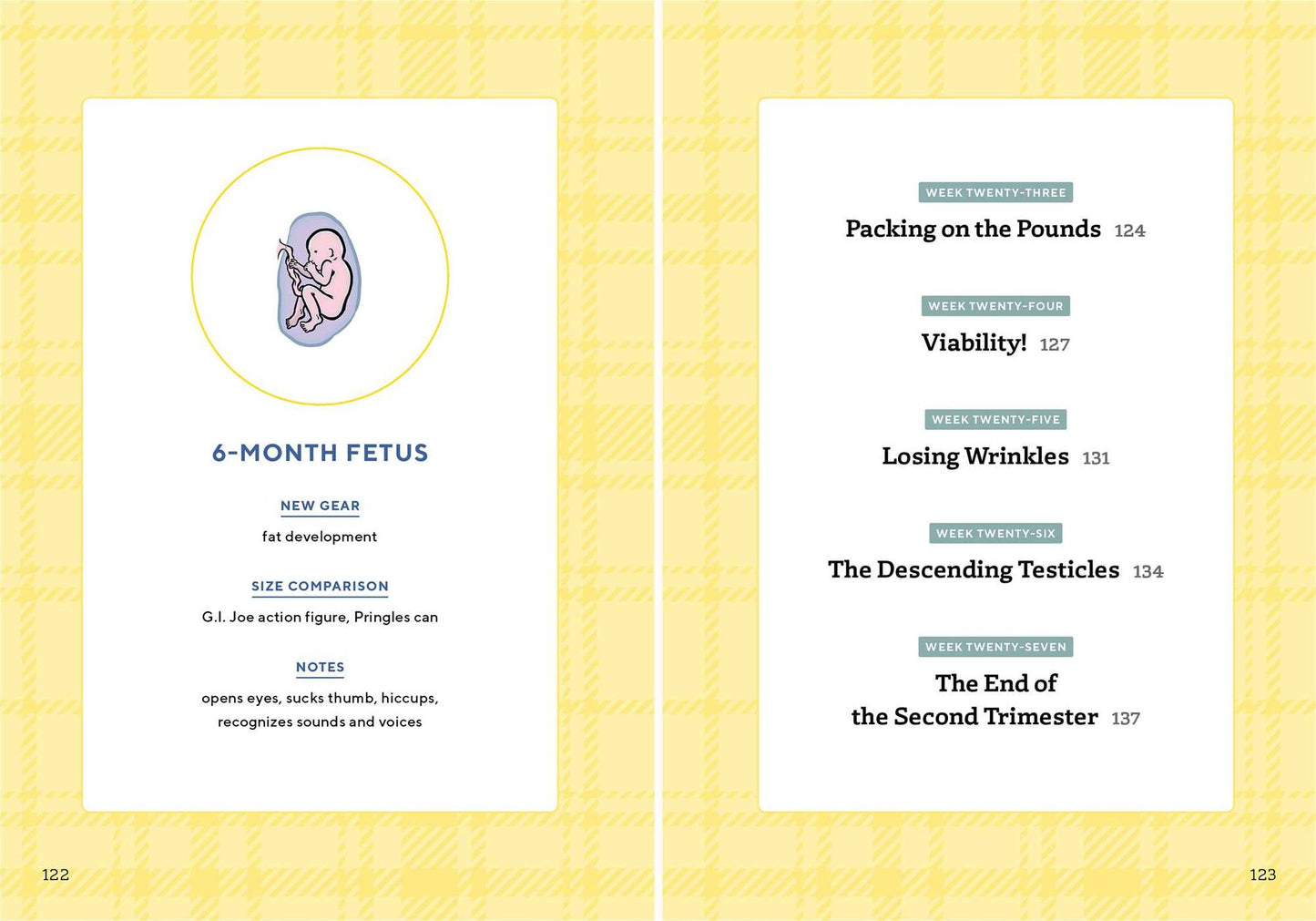 We're Pregnant! The First Time Dad's Pregnancy Handbook