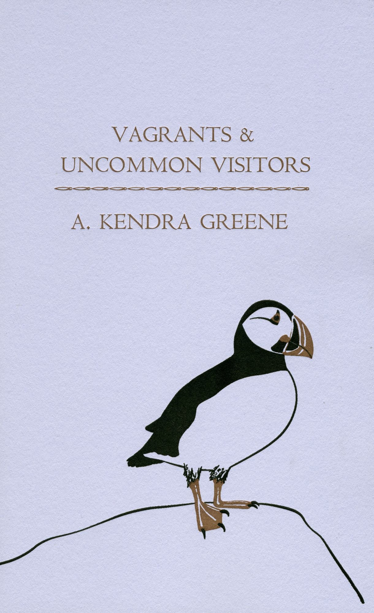 Vagrants & Uncommon Visitors
