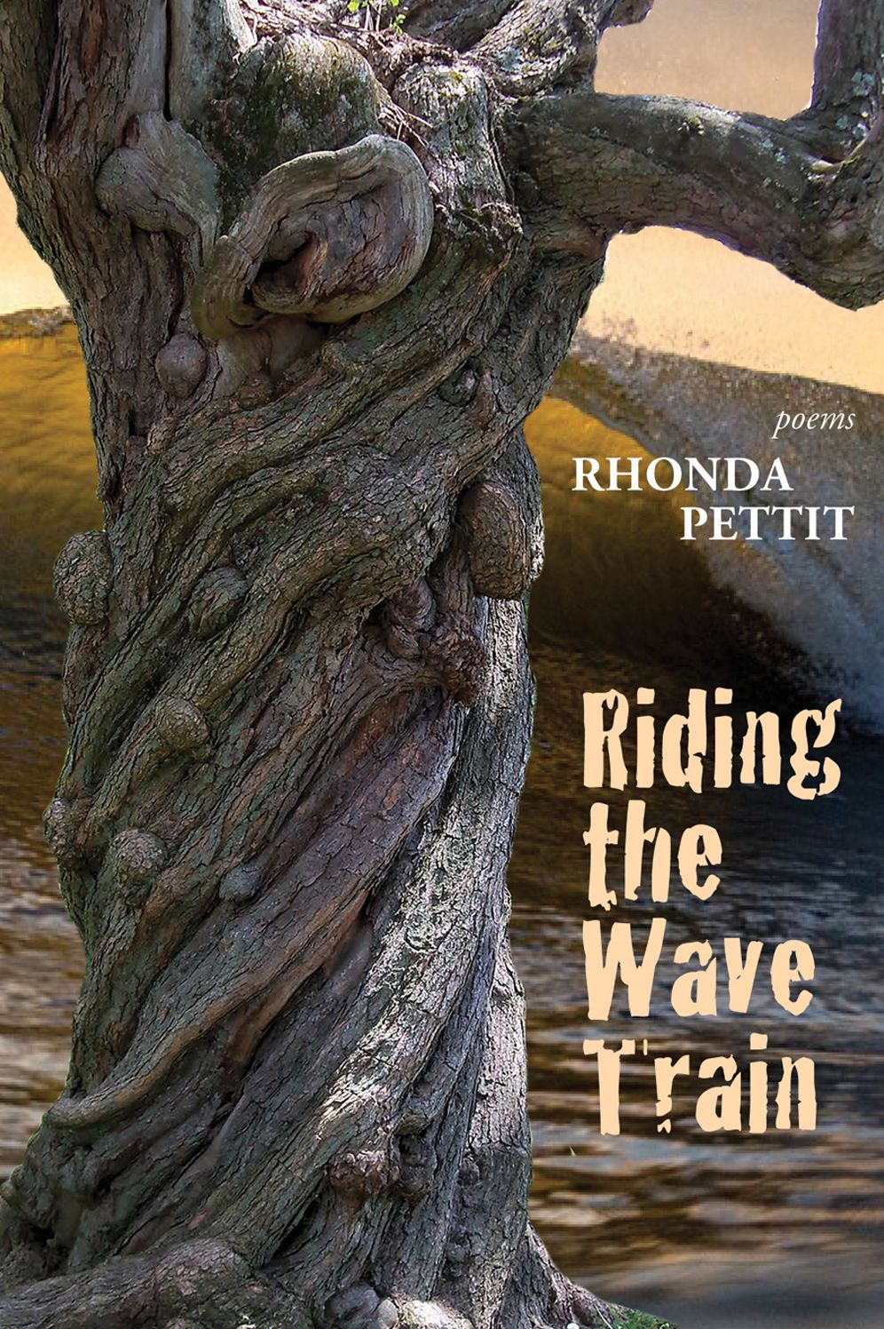 Riding the Wave Train