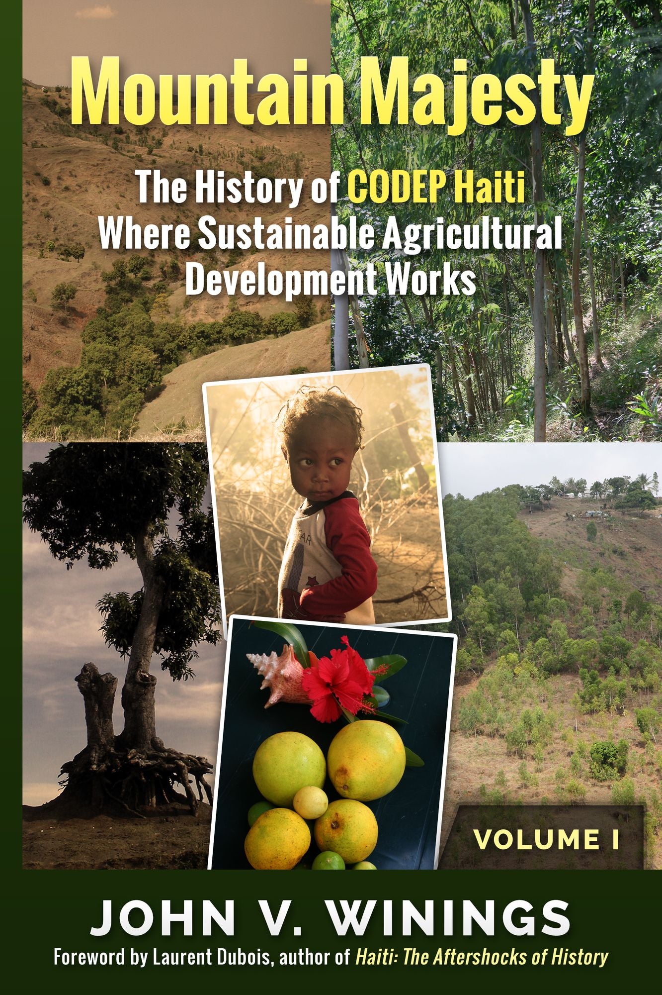 Mountain Majesty:: A History of CODEP Haiti Where Sustainable Agricultural Development Works Vol. 1