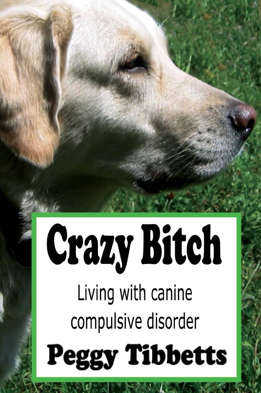 Crazy Bitch