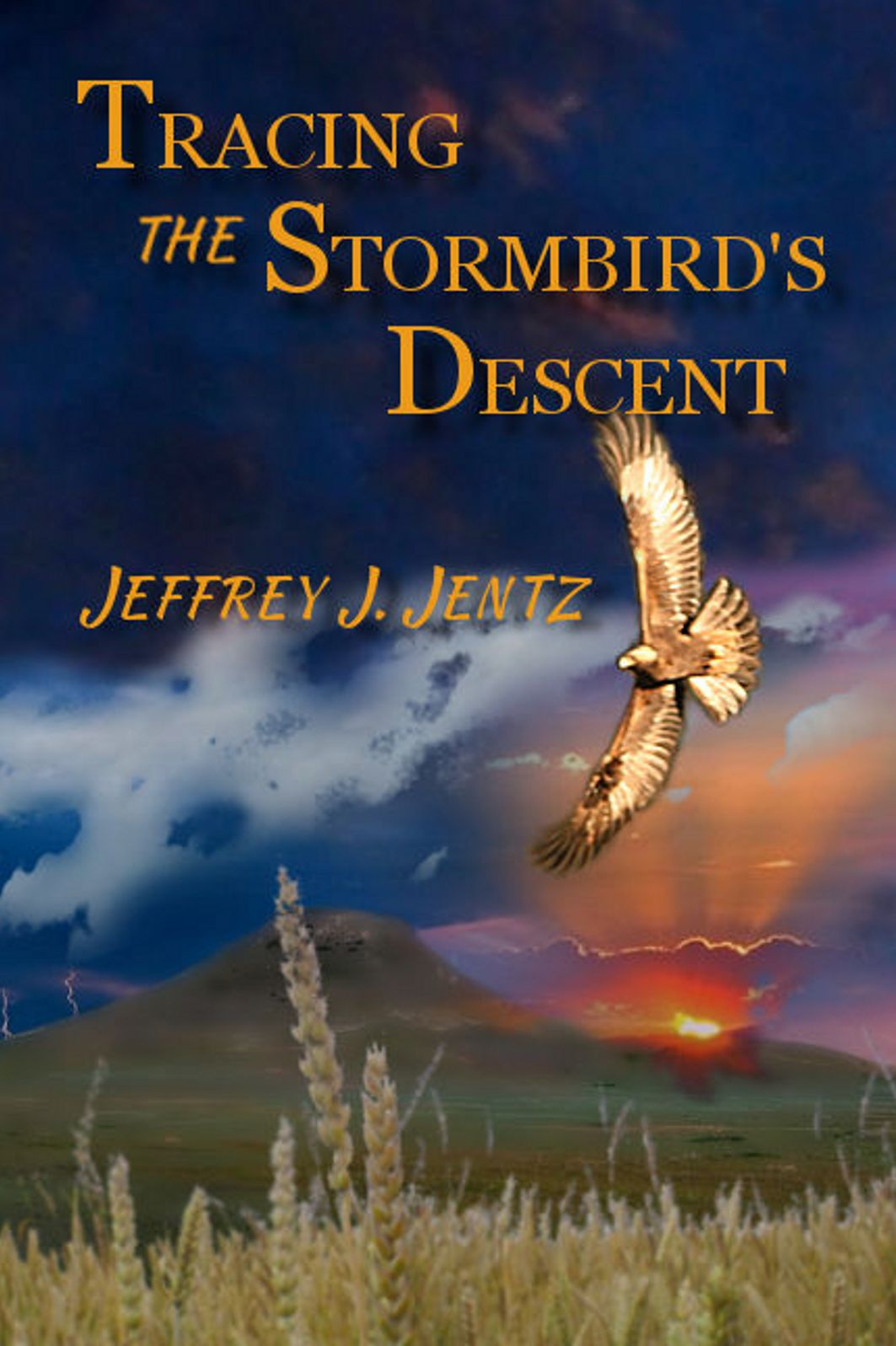 Tracing the Stormbird's Descent