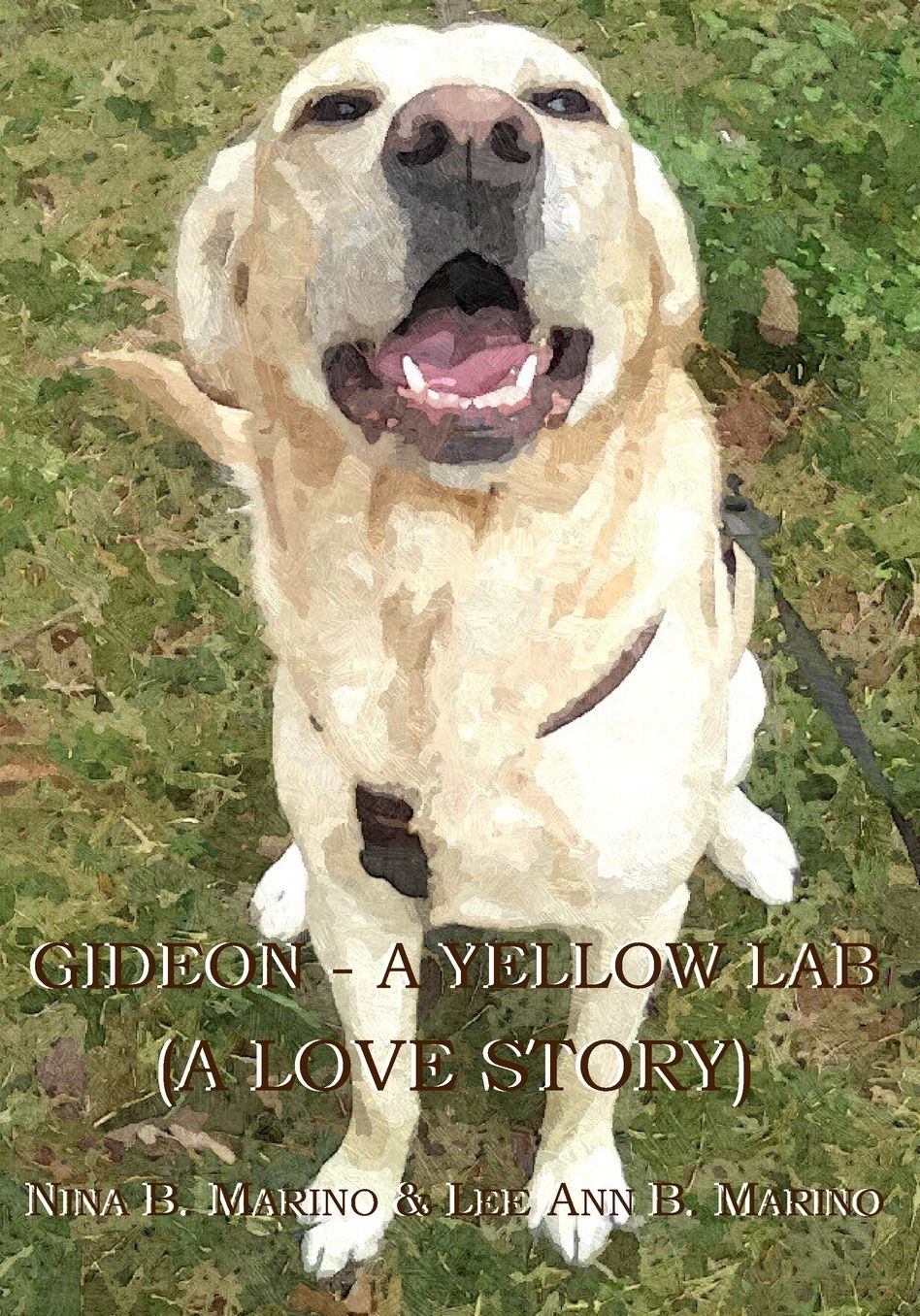 Gideon - A Yellow Lab: A Love Story