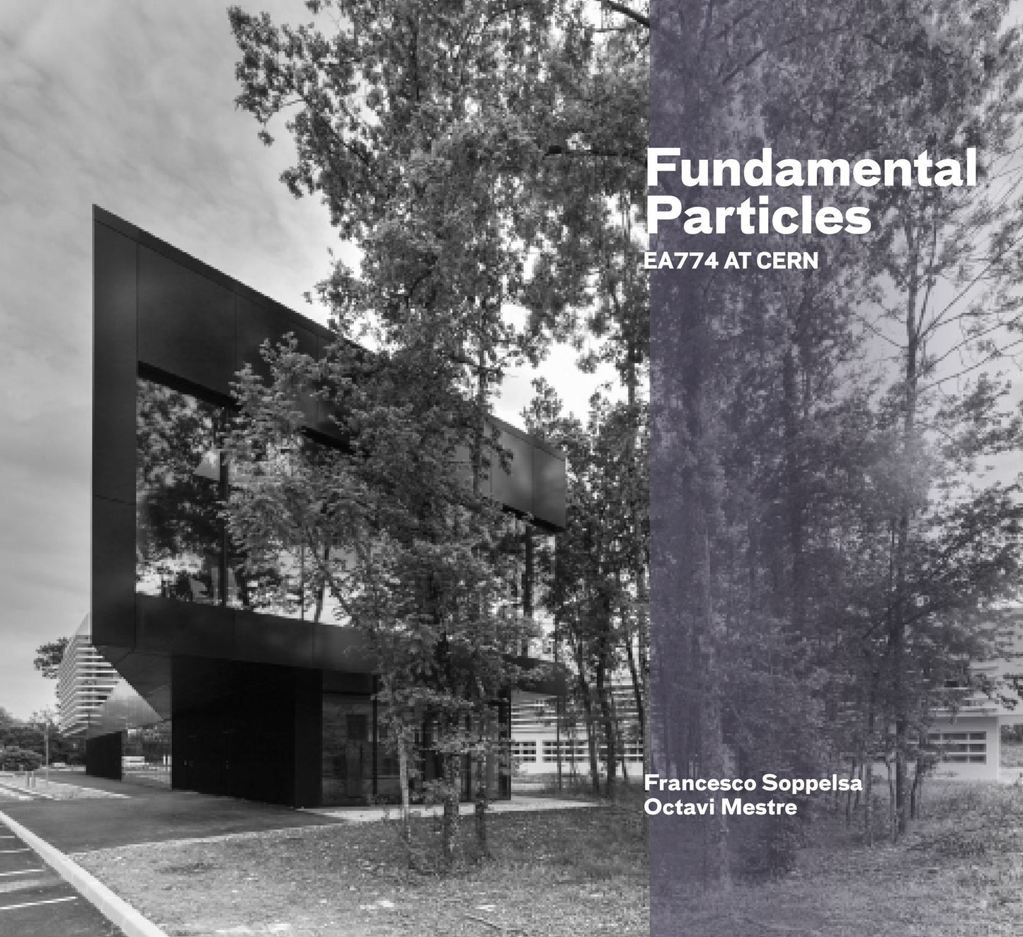 Fundamental Particles: EA774 at CERN