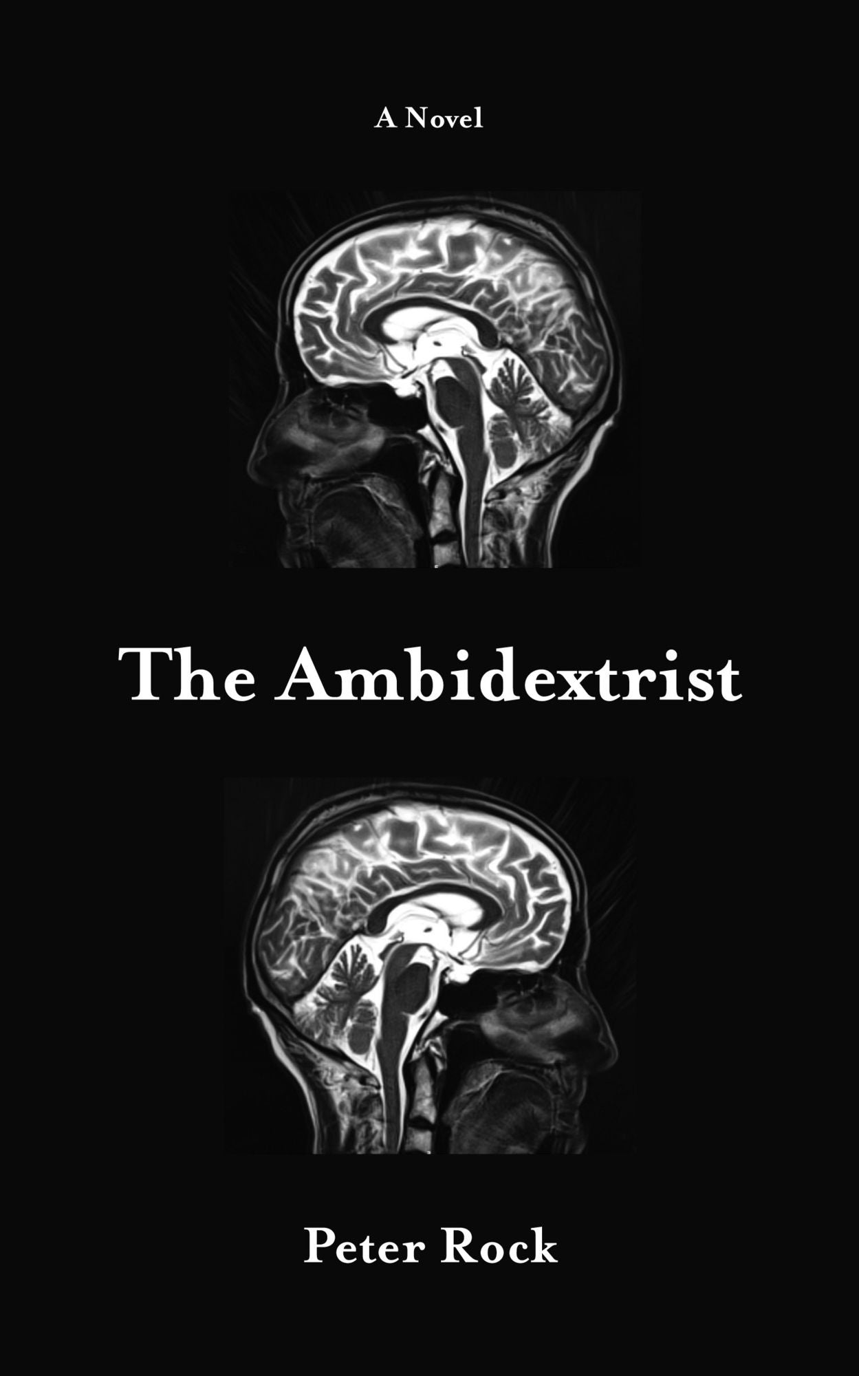 The Ambidextrist: A Novel