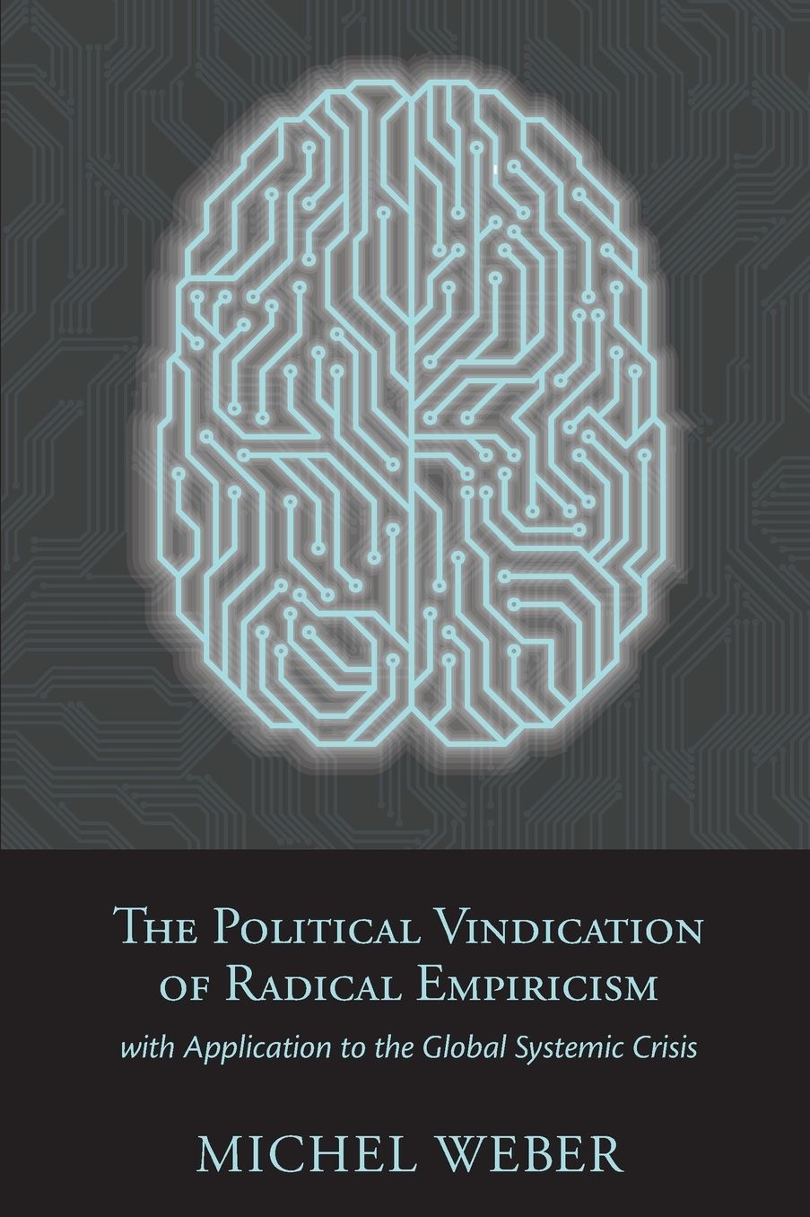 The Political Vindication of Radical Empiricism: with Application to the Global Systemic Crisis