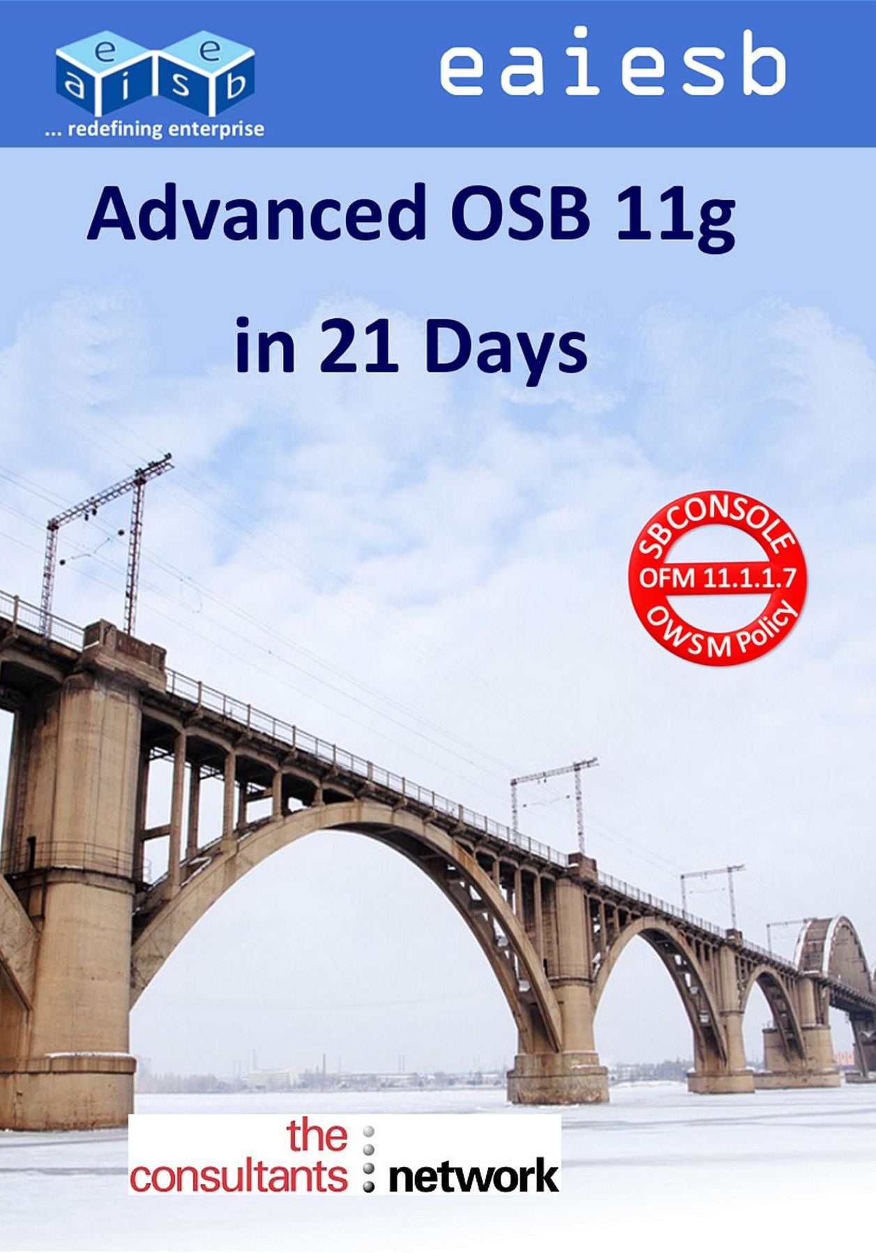 Advanced Oracle Service Bus 11g: in 21 Days