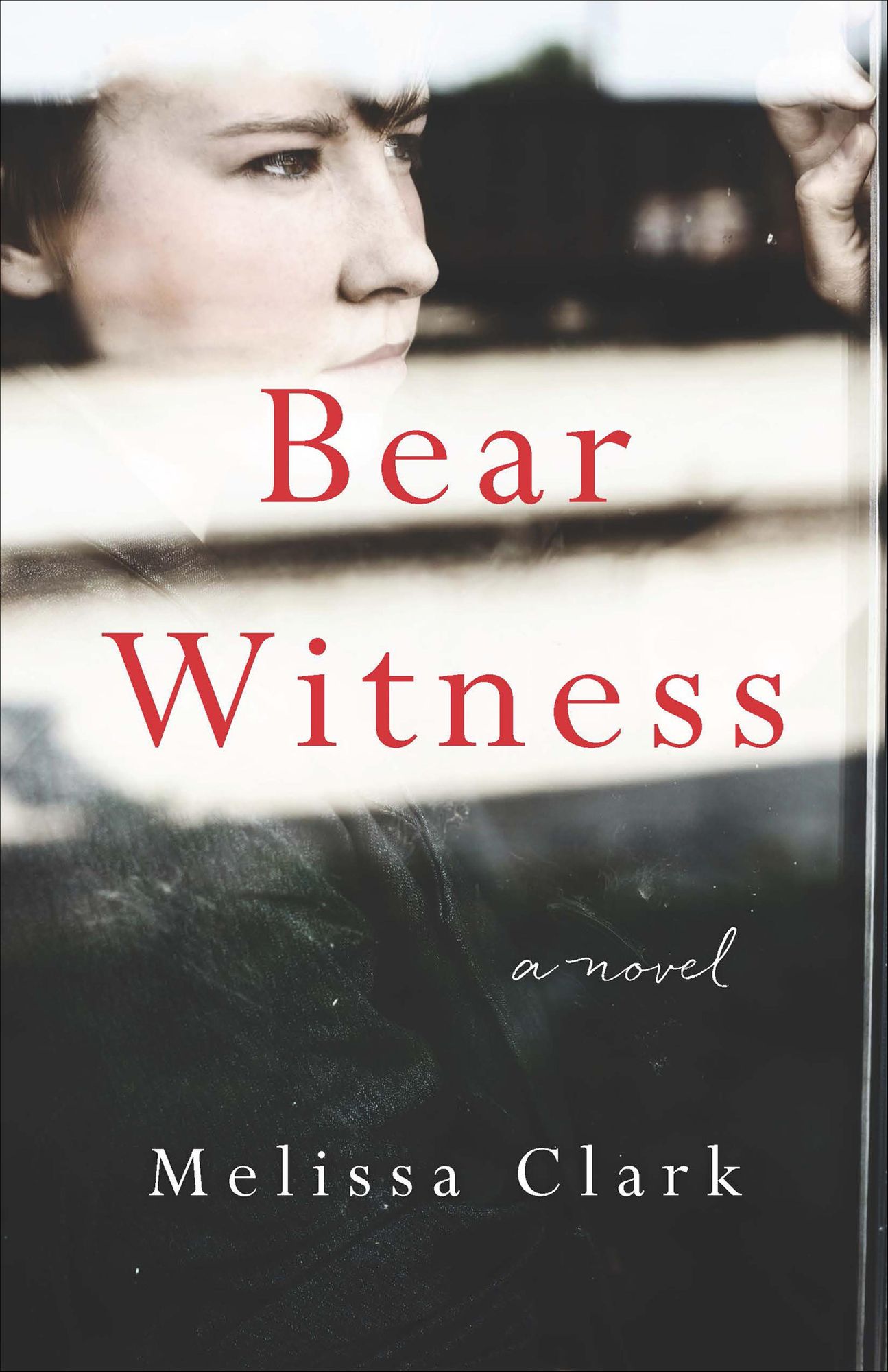 Bear Witness