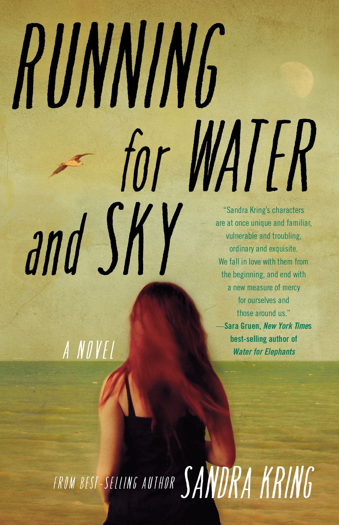 Running for Water and Sky: A Novel