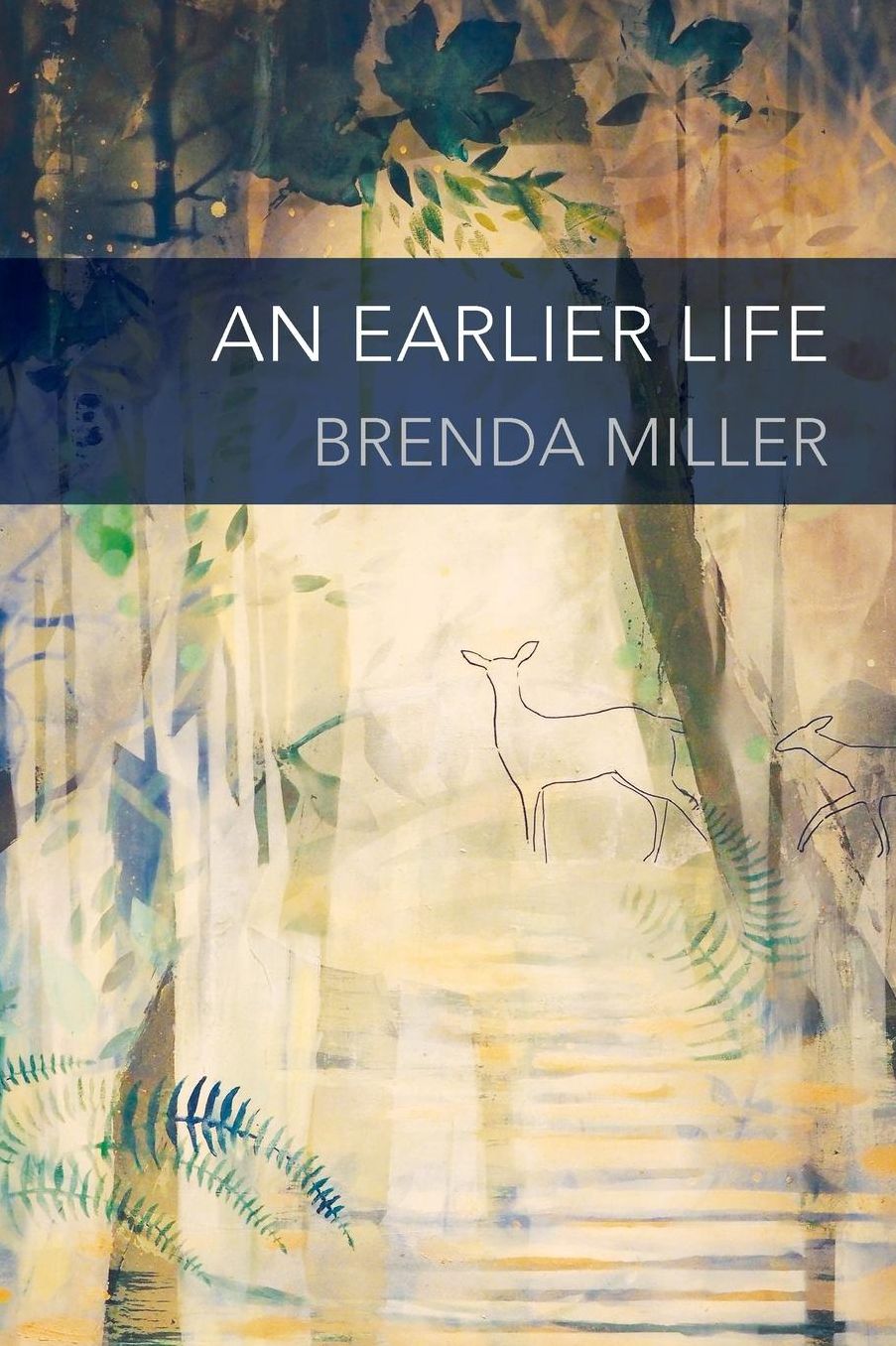 An Earlier Life