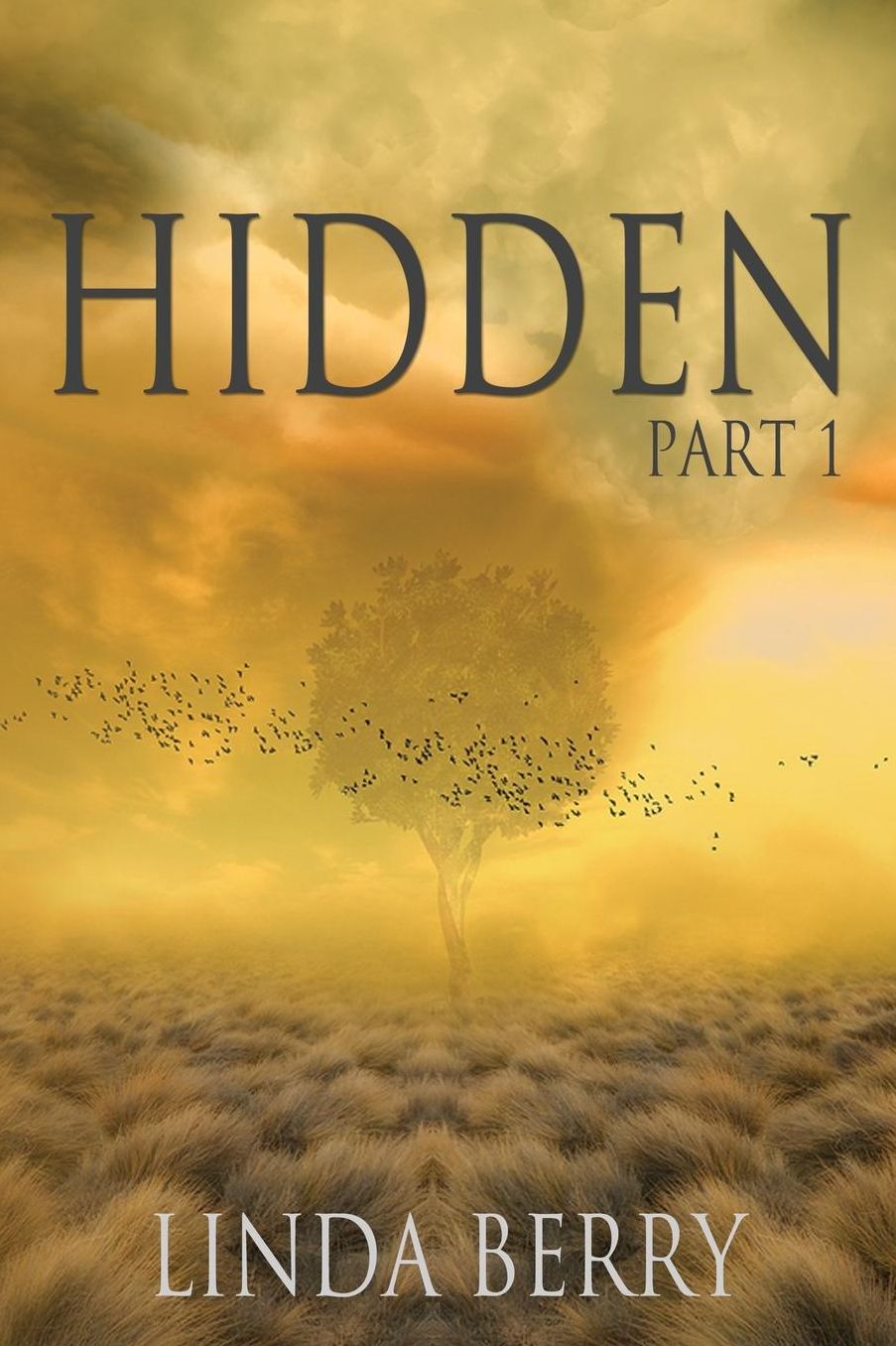 Hidden: Part 1
