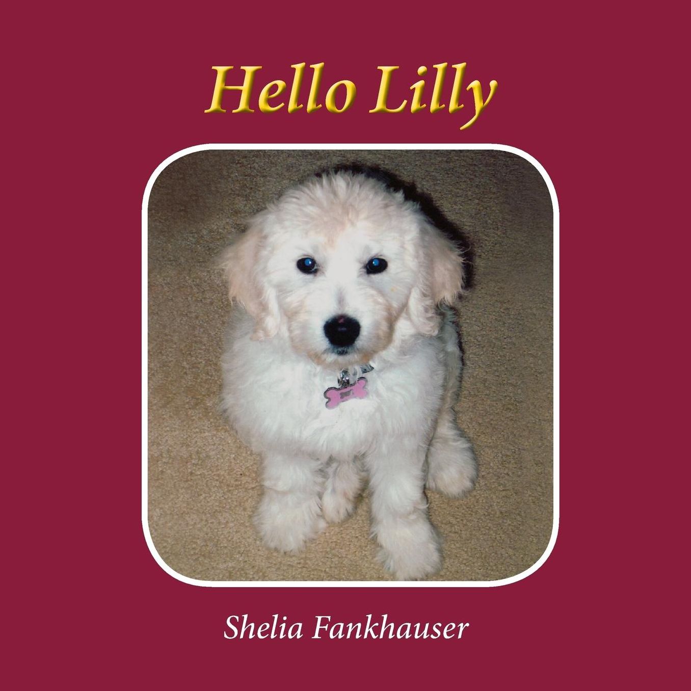 Hello Lilly