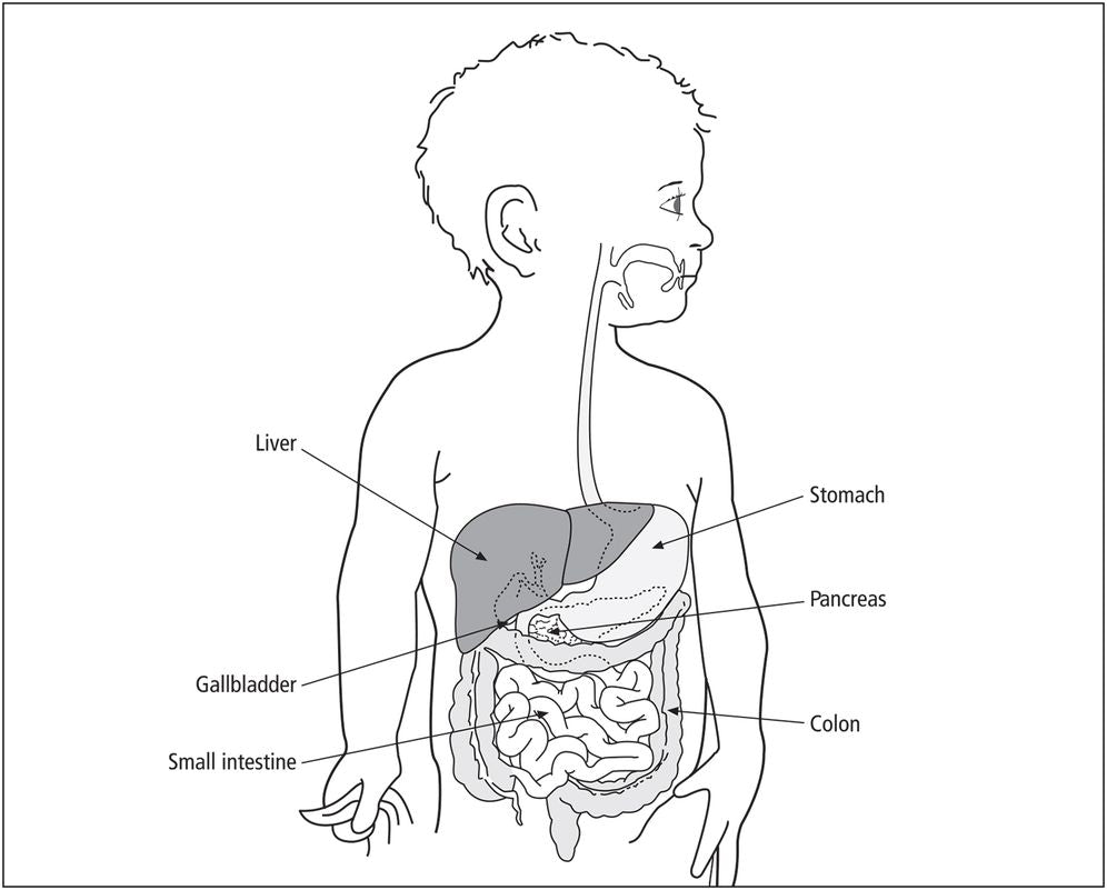Childhood Cancer: A Parent's Guide to Solid Tumor Cancers