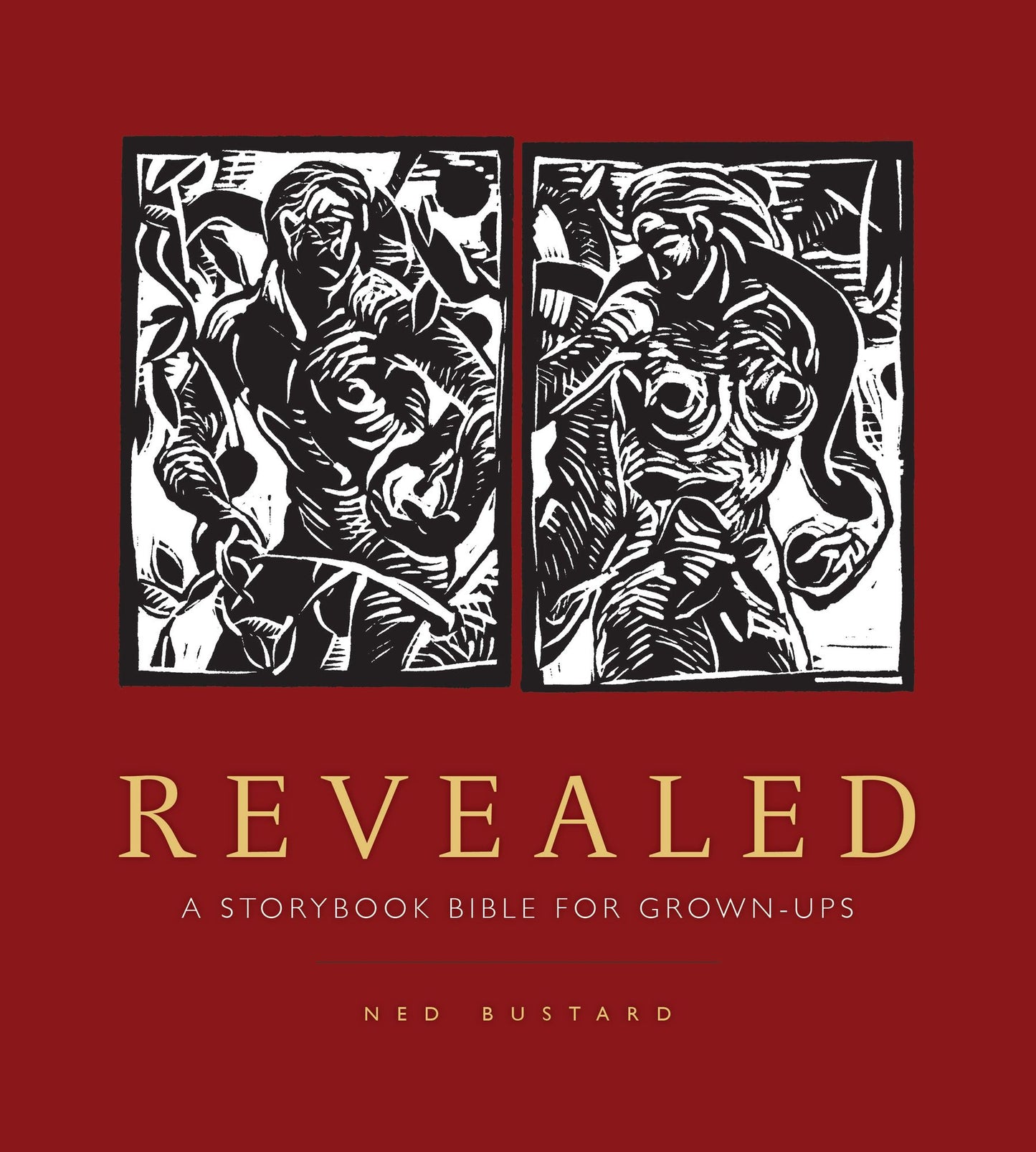 Revealed: A Storybook Bible for Grownups