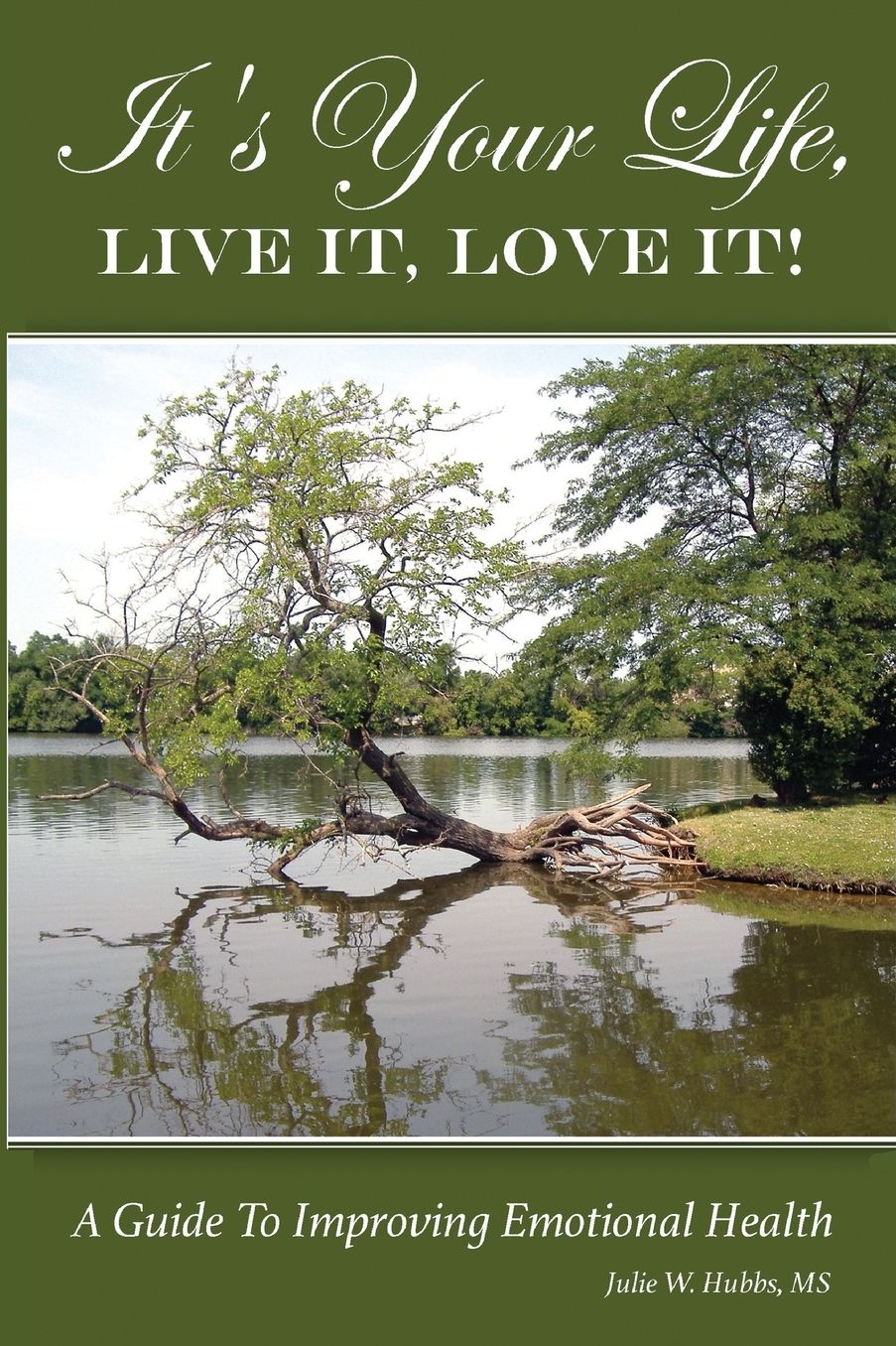 It's Your Life, LIVE IT, LOVE IT! A Guide To Improving Emotional Health.