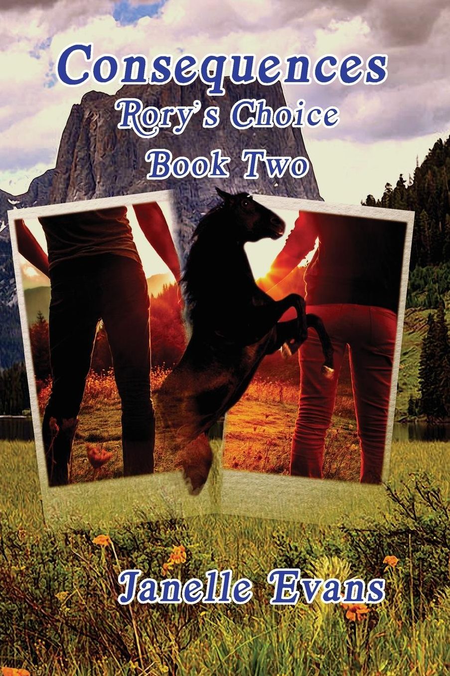 Consequences: Rory's Choice - Book two