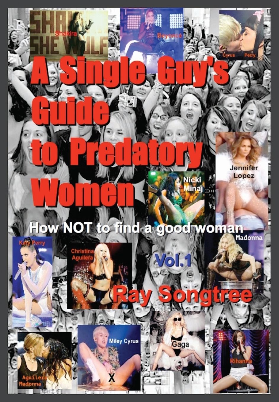 A Single Guy's Guide to Predatory Women (Vol. 1, Lipstick and War Crimes Series): Navigating Survival, Heart Break and the Media Matrix