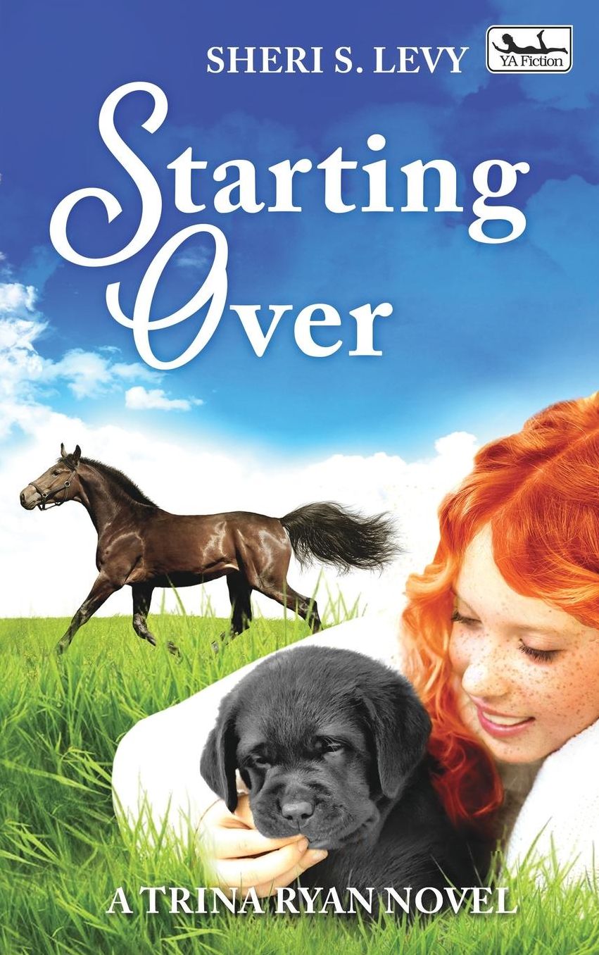 Starting Over: A Trina Ryan Novel