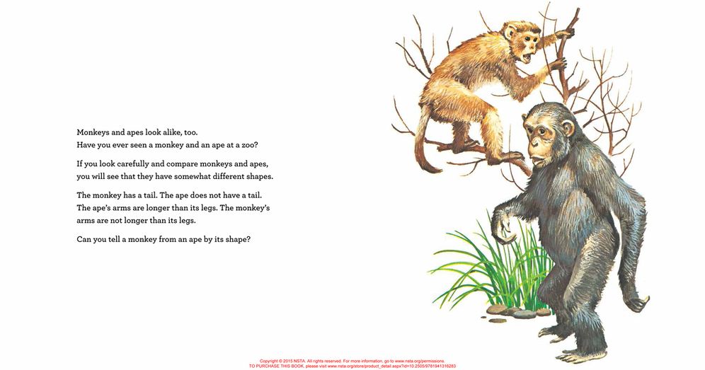 Animals Two by Two: I Wonder Why