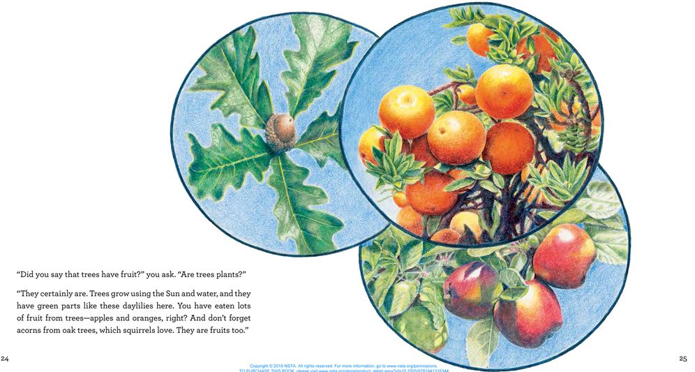 From Flower to Fruit