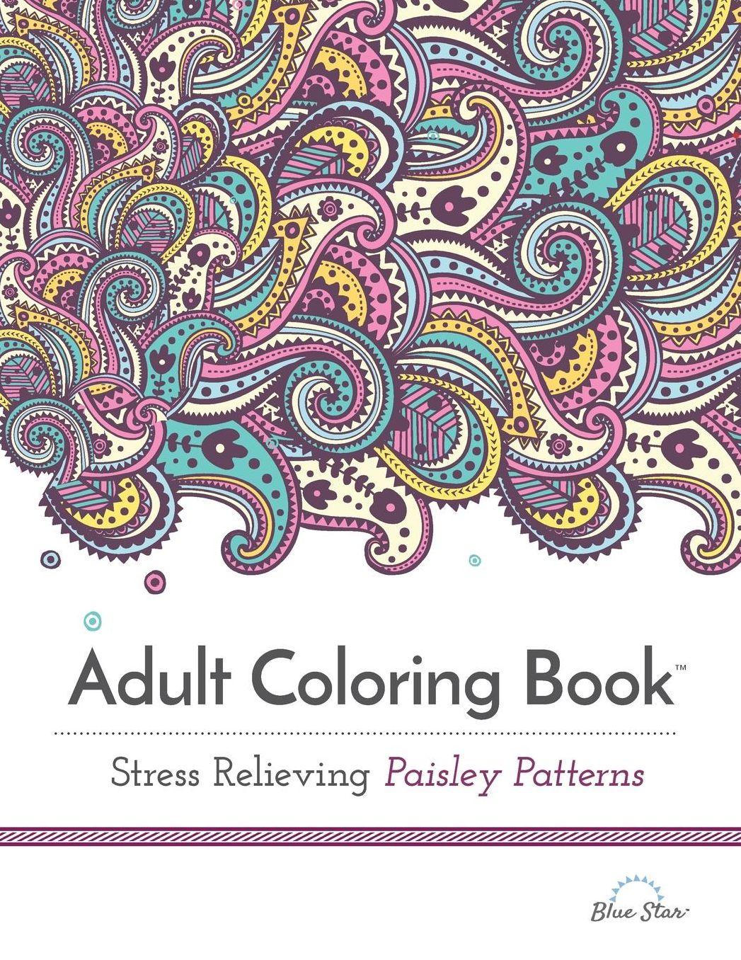 Adult Coloring Book: Stress Relieving Paisley Patterns
