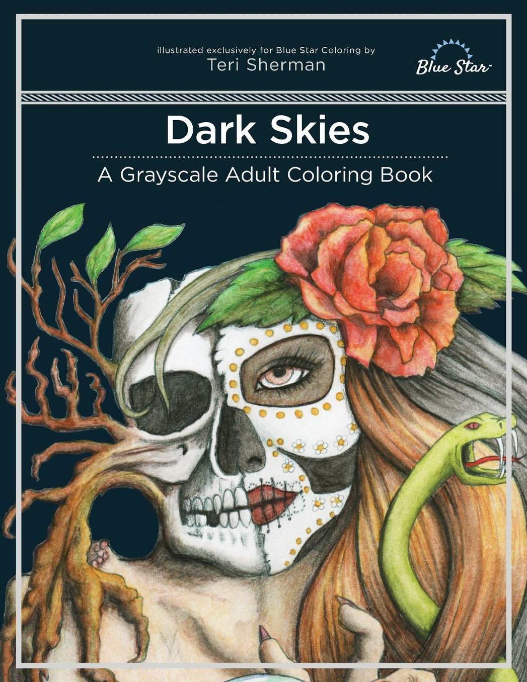 Dark Skies: A Grayscale Adult Coloring Book