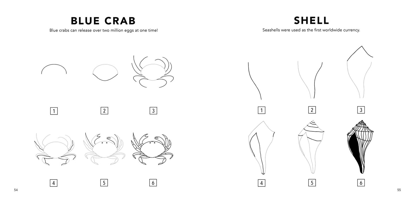 Under the Sea: How to Draw Books for Kids with Dolphins, Mermaids, and Ocean Animals