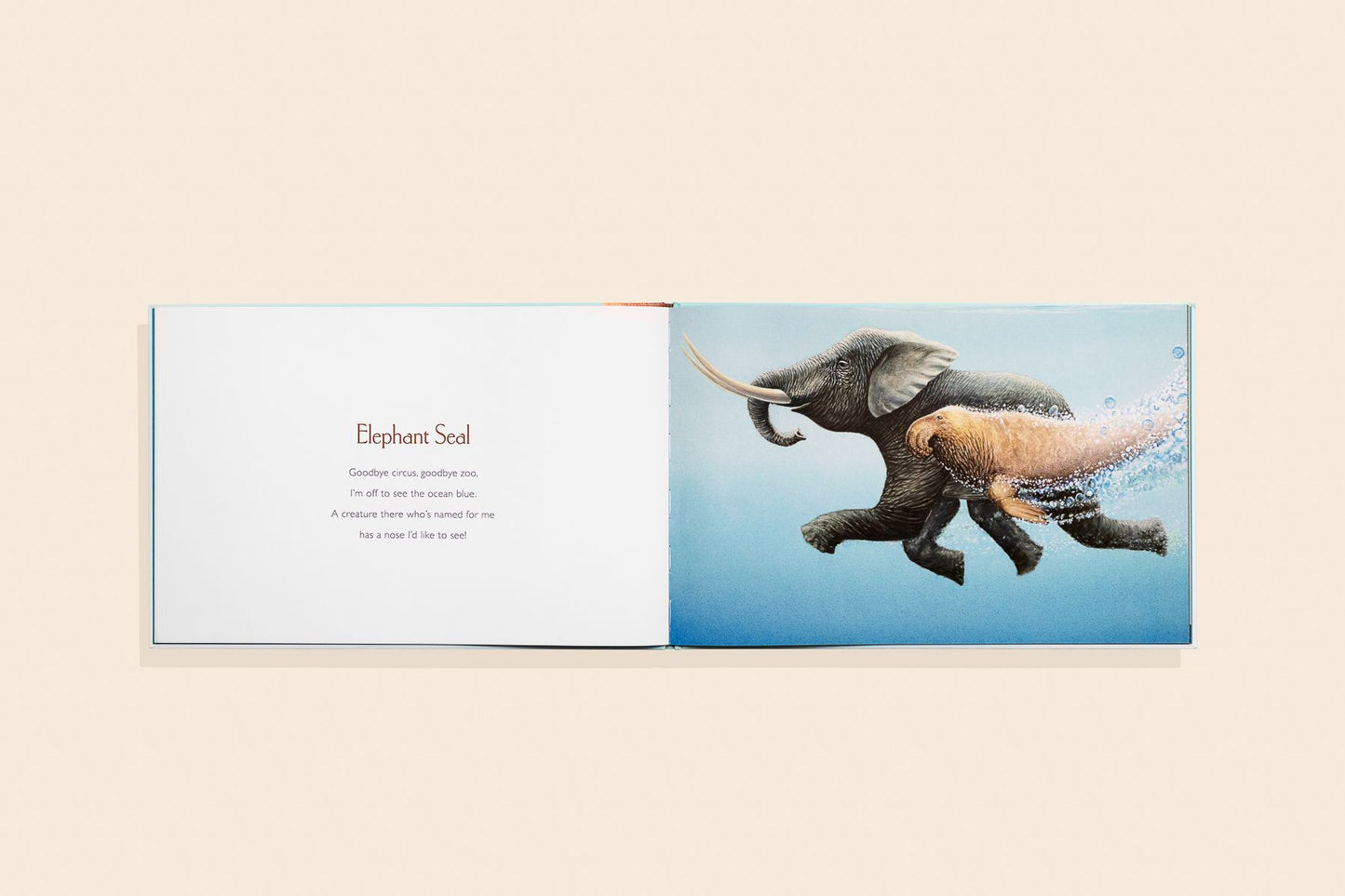 You Stole My Name: The Curious Case of Animals with Shared Names (Picture Book)