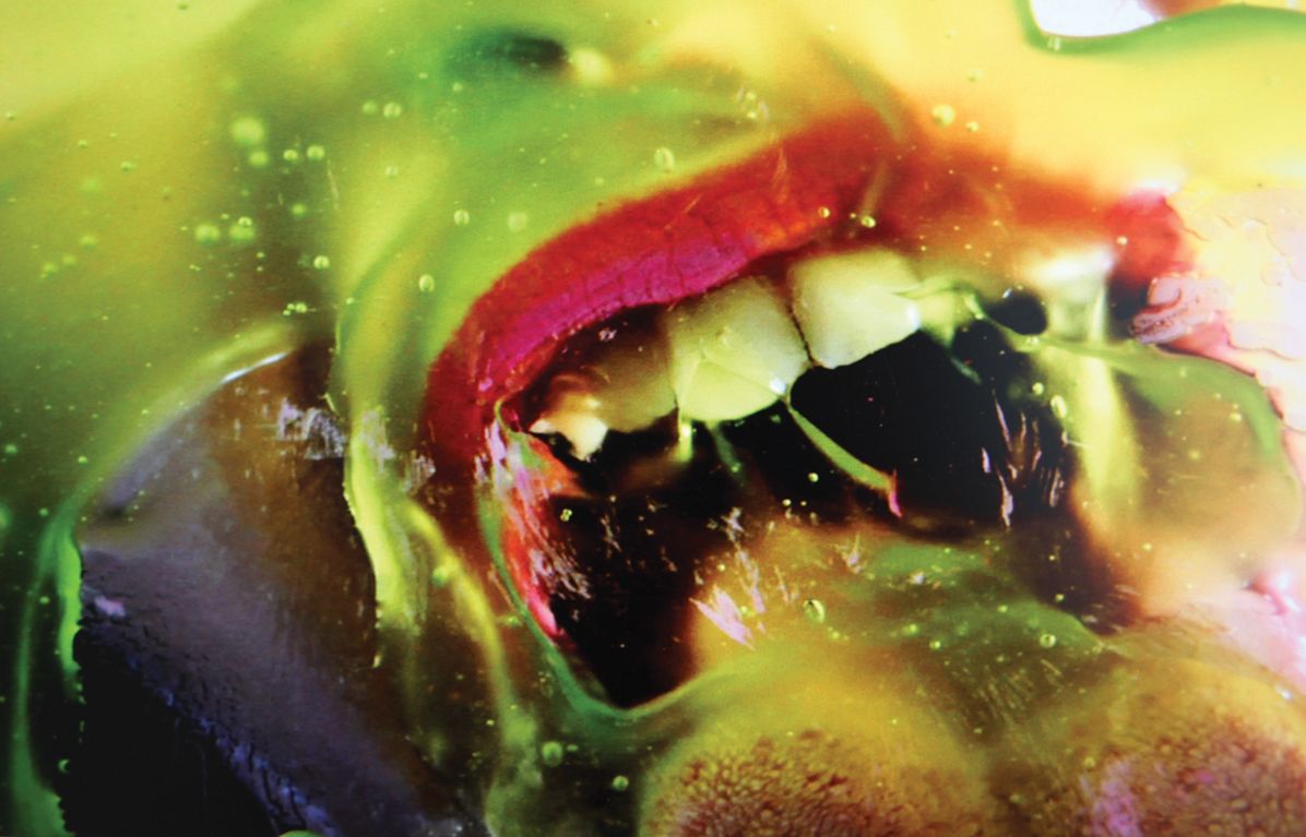 Marilyn Minter: Pretty/Dirty