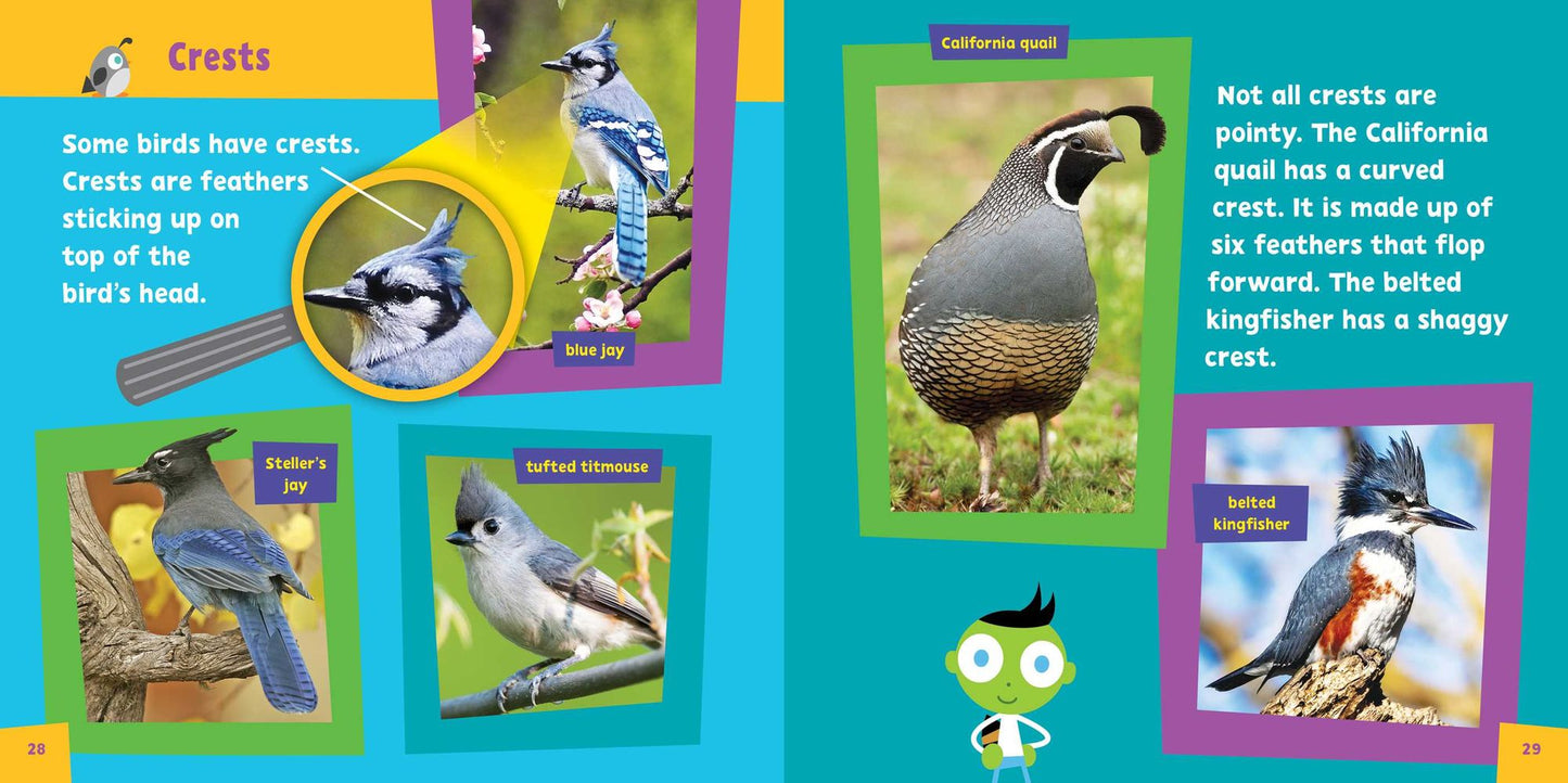 Look and Learn: Birds