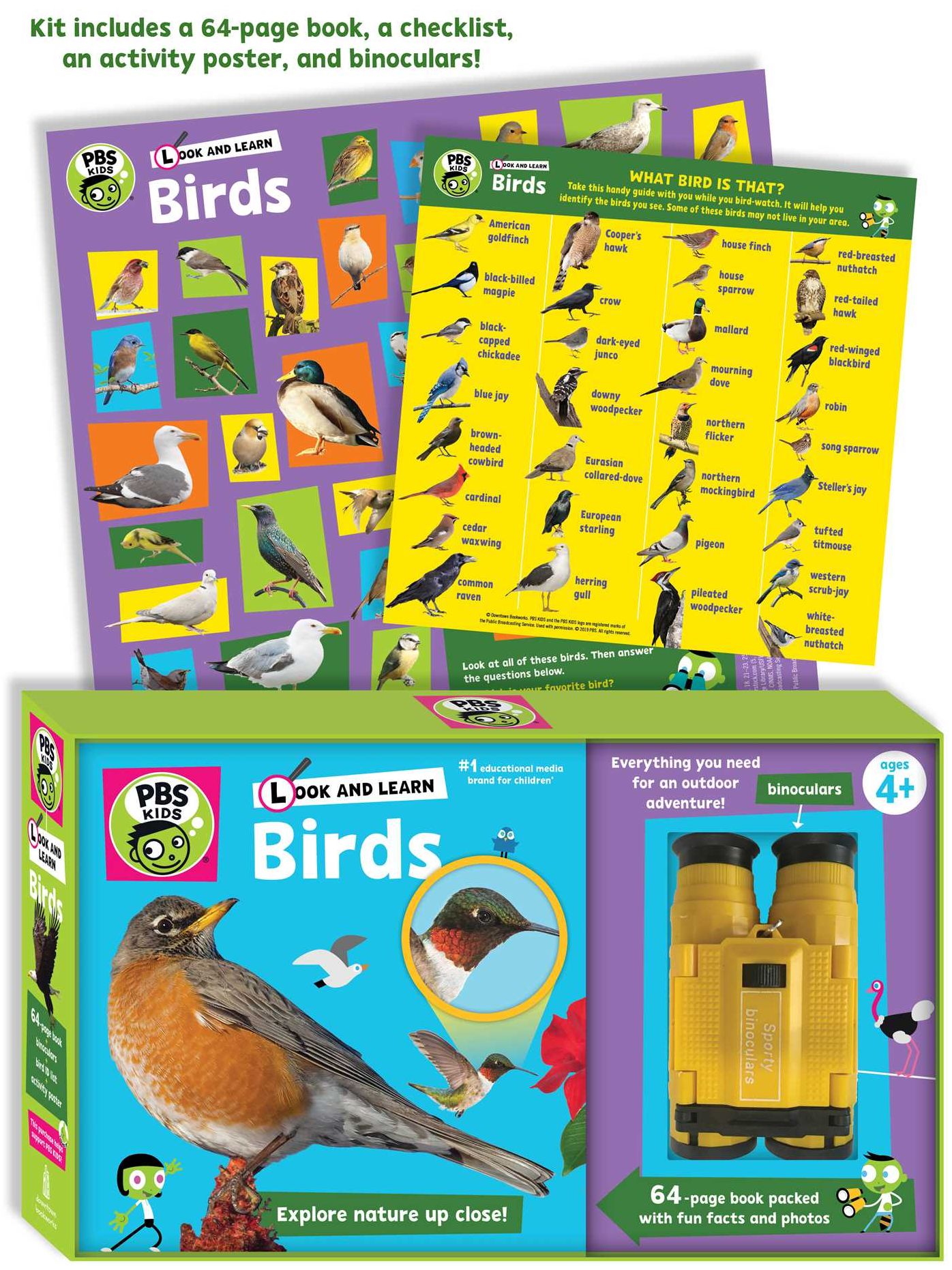 Look and Learn: Birds