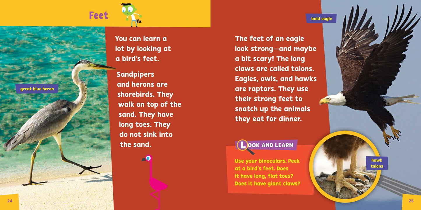 Look and Learn: Birds