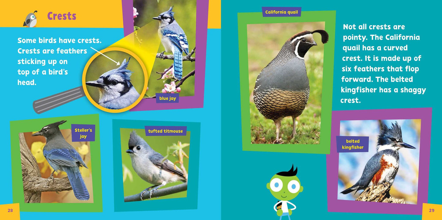 Look and Learn: Birds