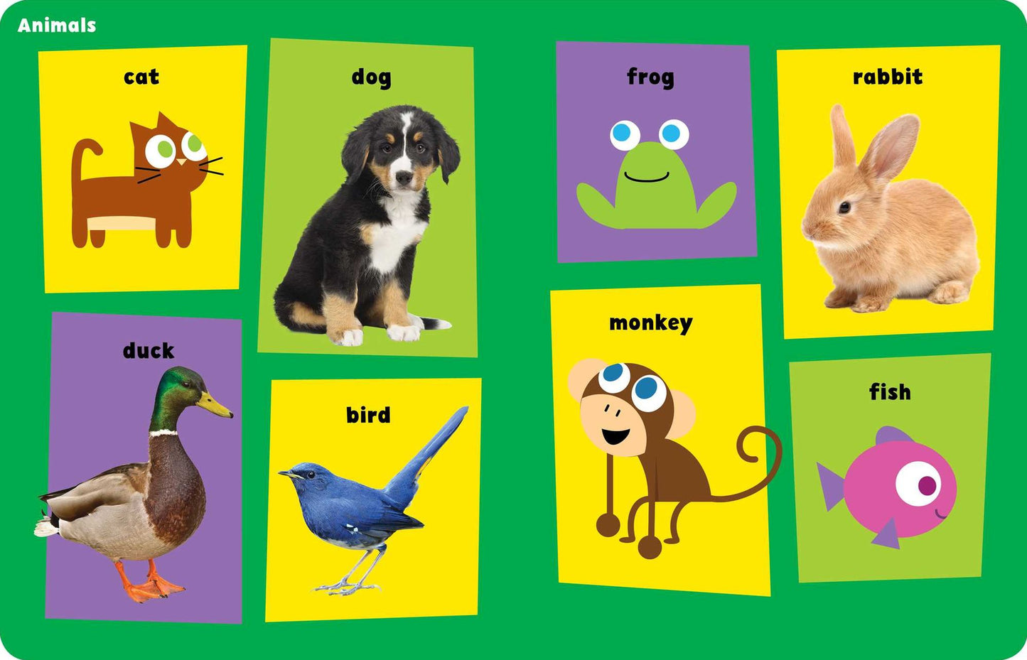 PBS KIDS 100 Words for Babies: First Words for the First Year