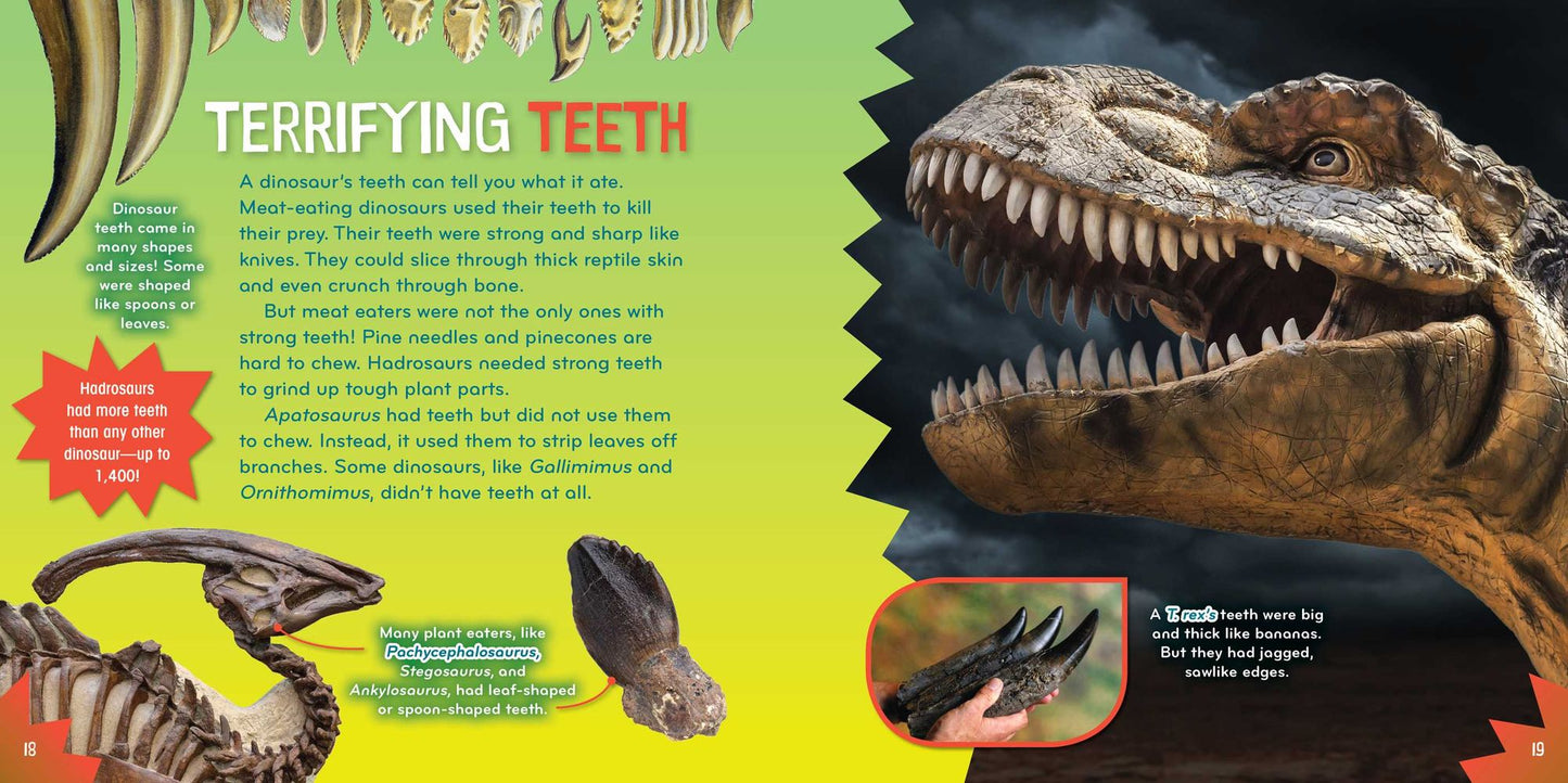 Dino-mite!