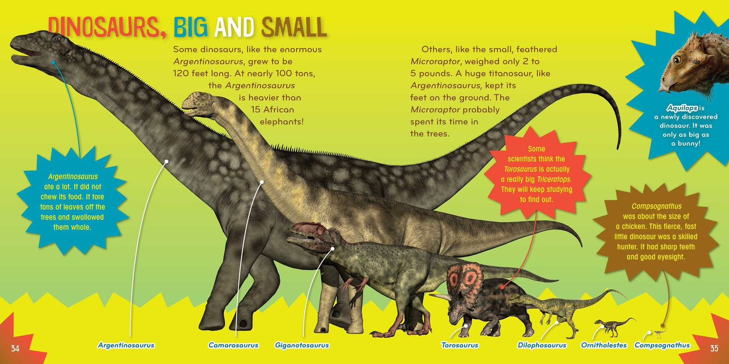 Dino-mite!