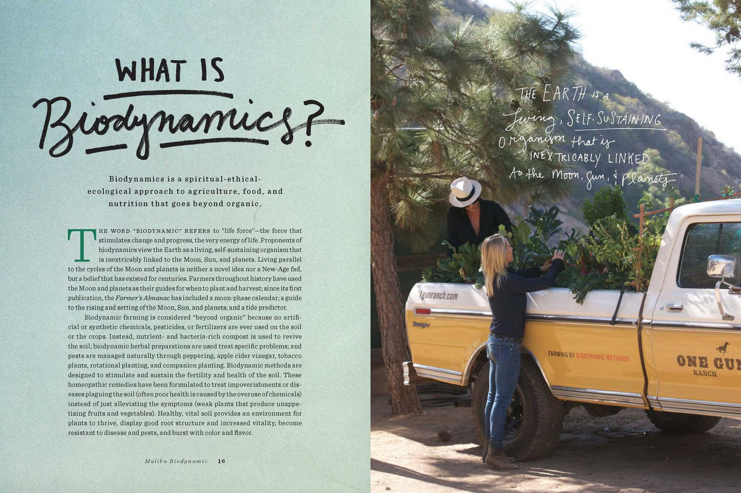 One Gun Ranch, Malibu: Biodynamic Recipes for Vibrant Living
