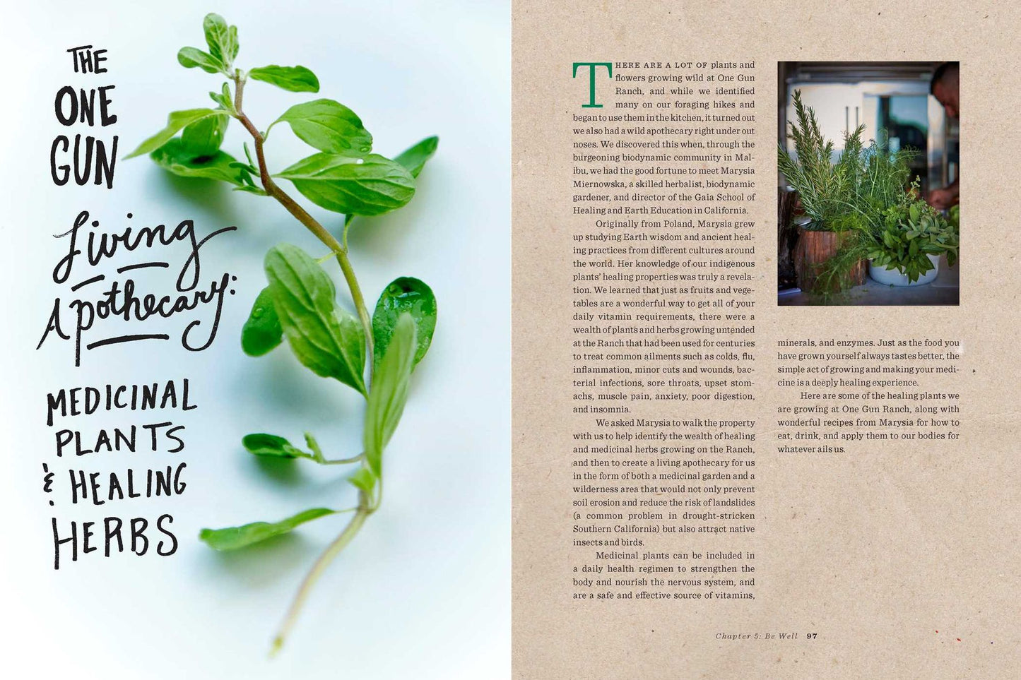 One Gun Ranch, Malibu: Biodynamic Recipes for Vibrant Living