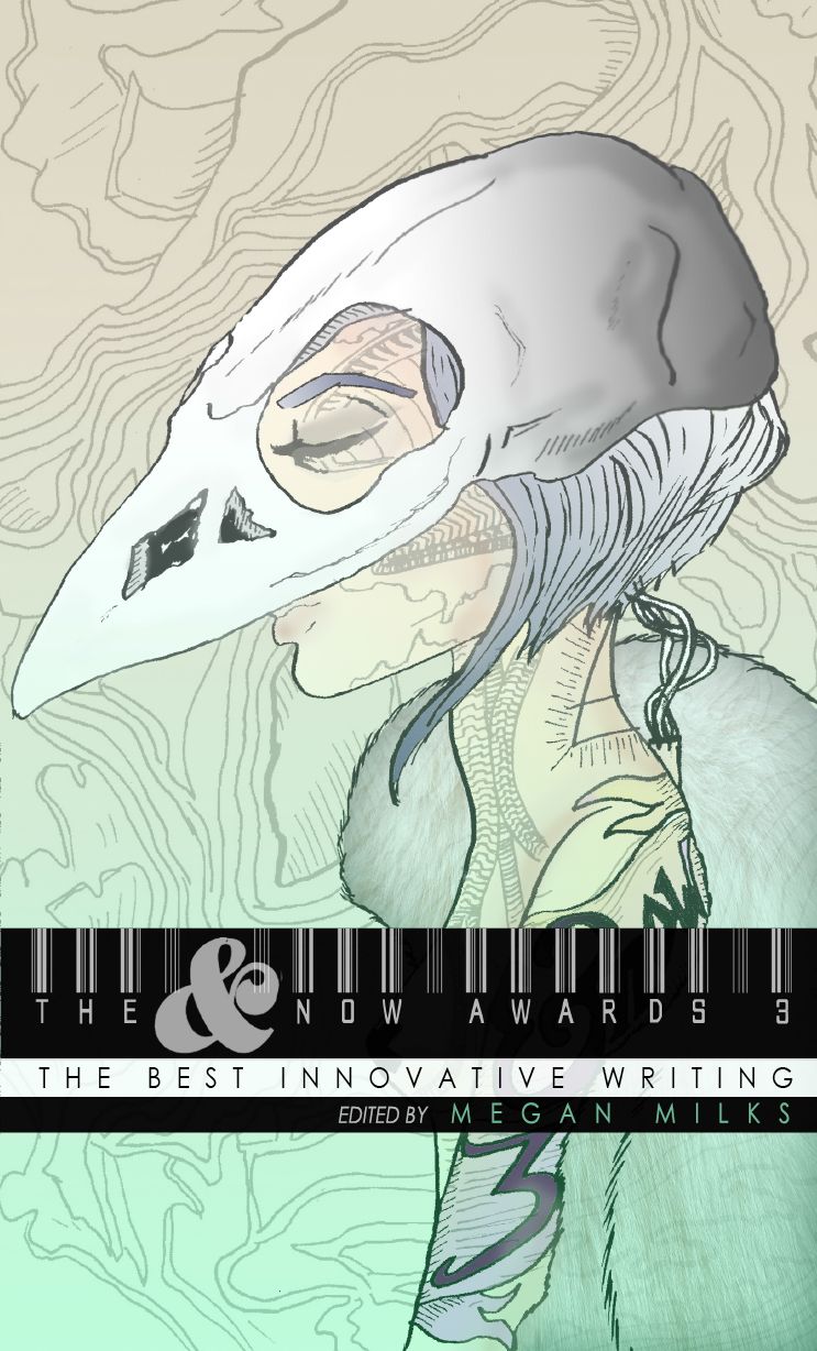 The &NOW AWARDS 3: The Best Innovative Writing