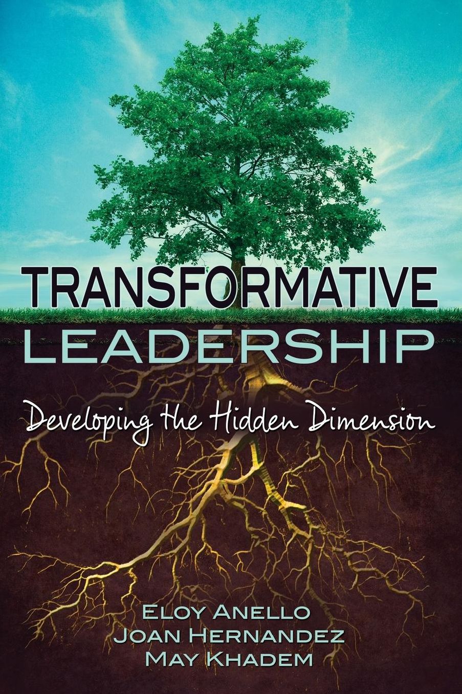 Transformative Leadership: Developing the Hidden Dimension